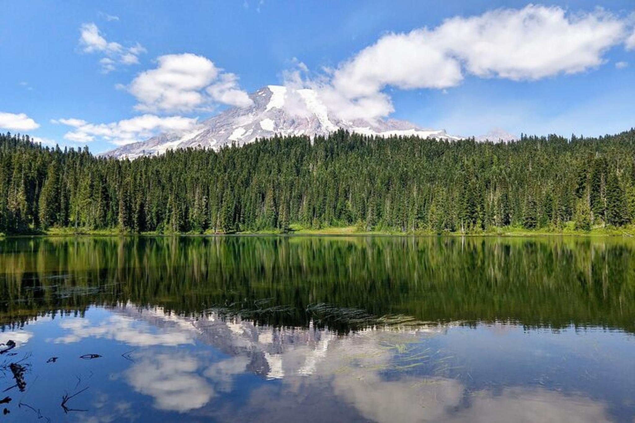 Seattle Mount Rainier National Park Private Day Tour - Image 6