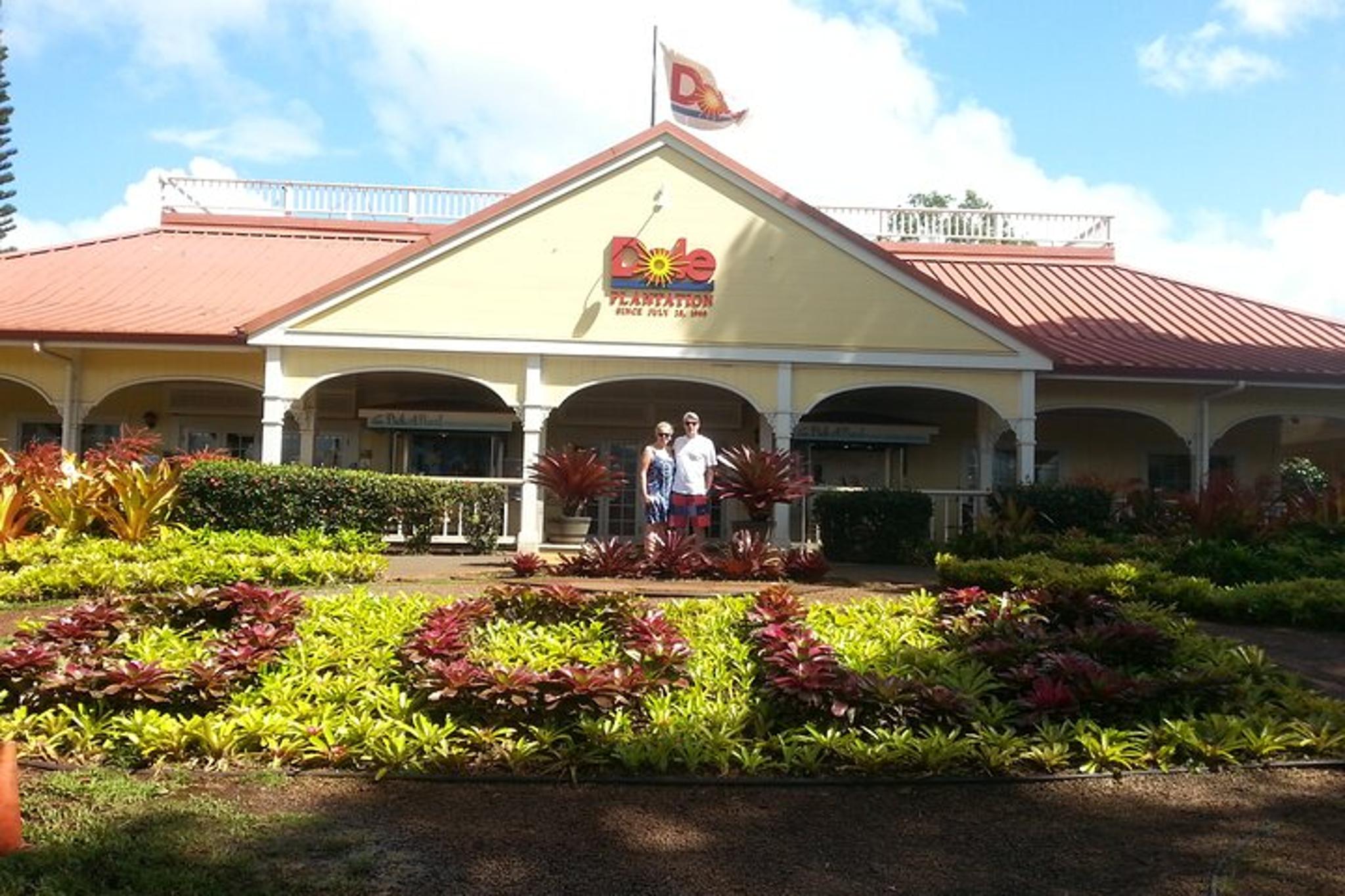 Oahu Convertible Tour of South and North Shores - Image 3