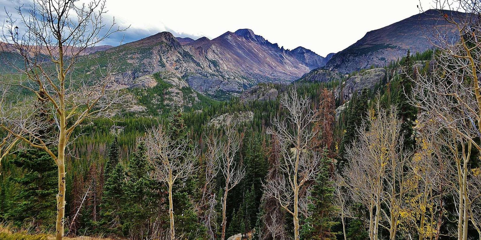 Denver Guided Hiking Tour in Rocky Mountains - Image 4