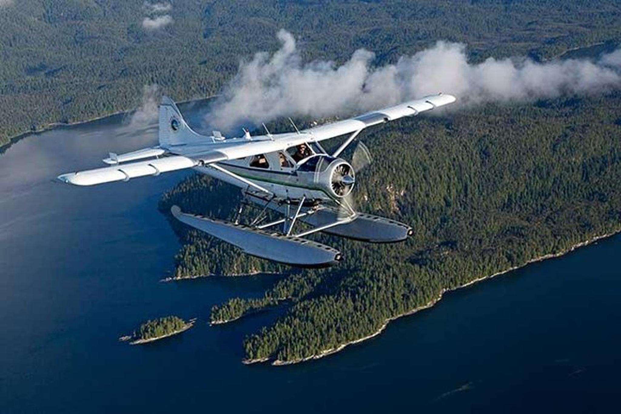 Ketchikan Bear-Viewing Air Tour - Image 4