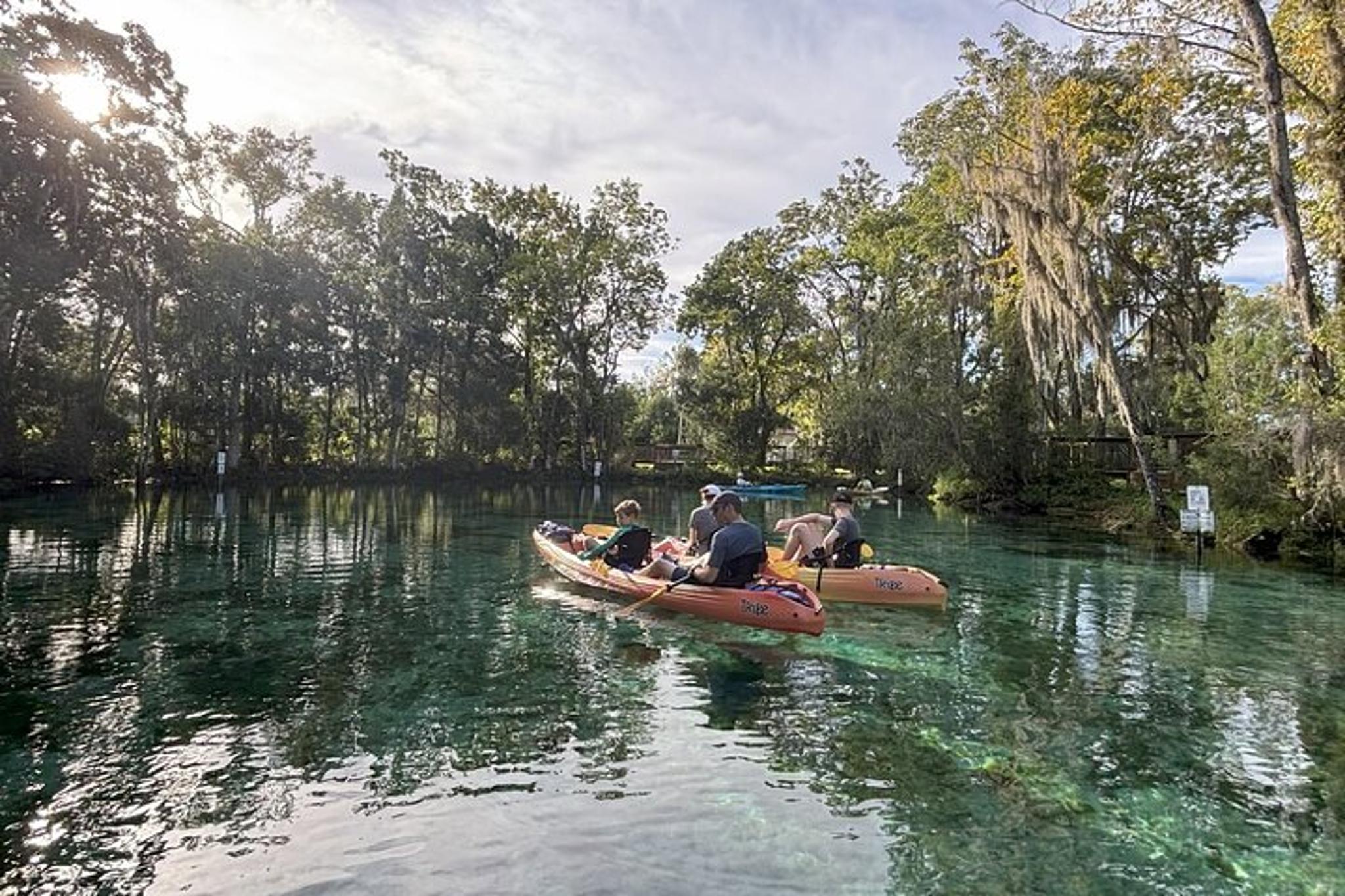 Crystal River Kayak Adventure - Image 4