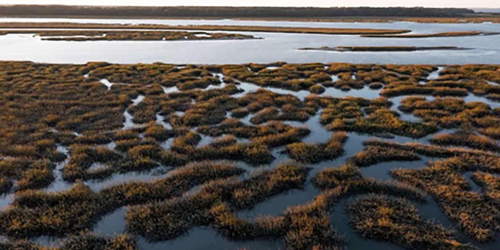 Hilton Head Jet Ski Creek Run Tour - Image 2