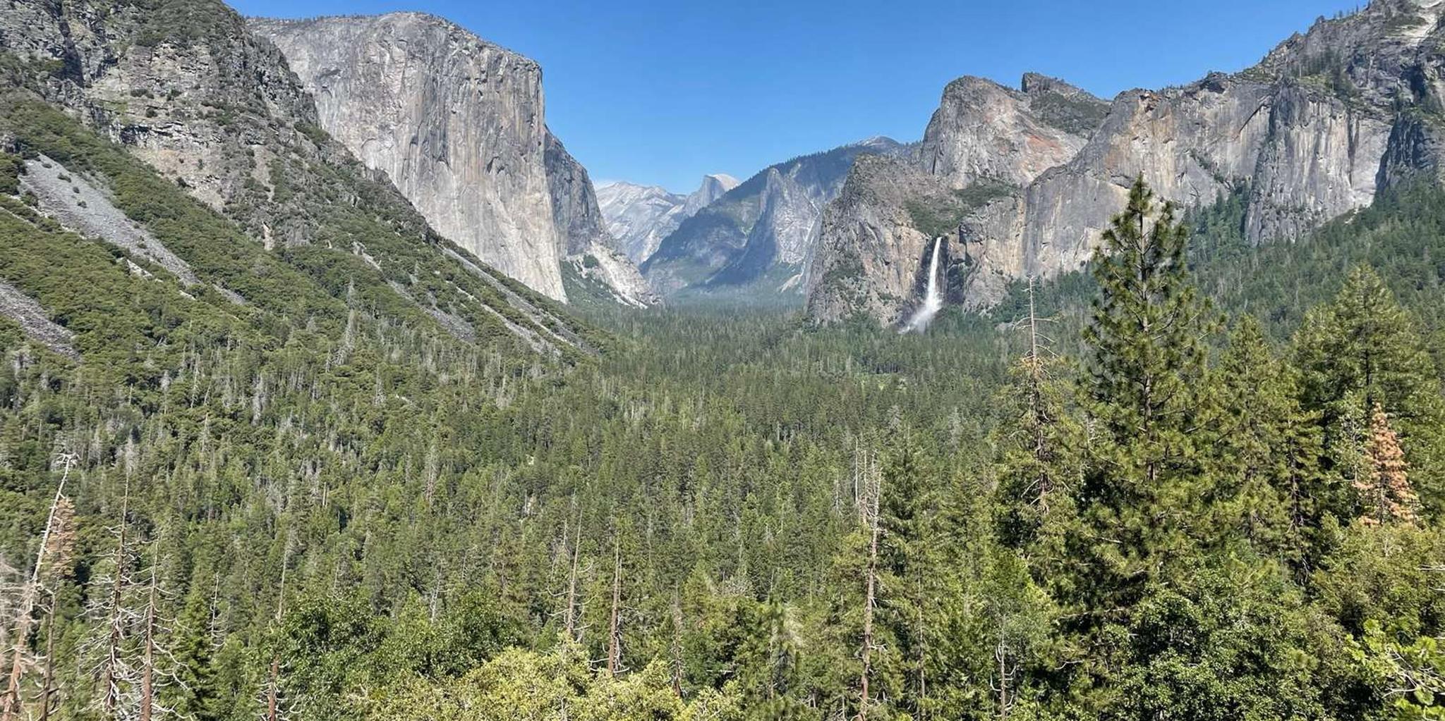 Yosemite National Park & Giant Sequoias Tour from San Francisco
