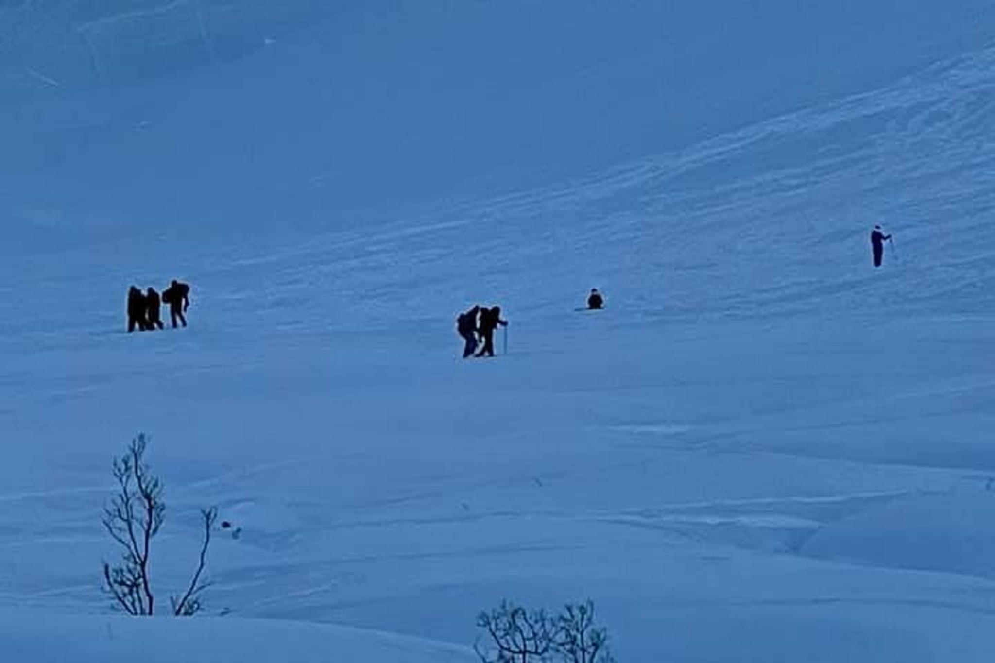 Fairbanks Snowshoe and Trekking Pole Rental - Image 6