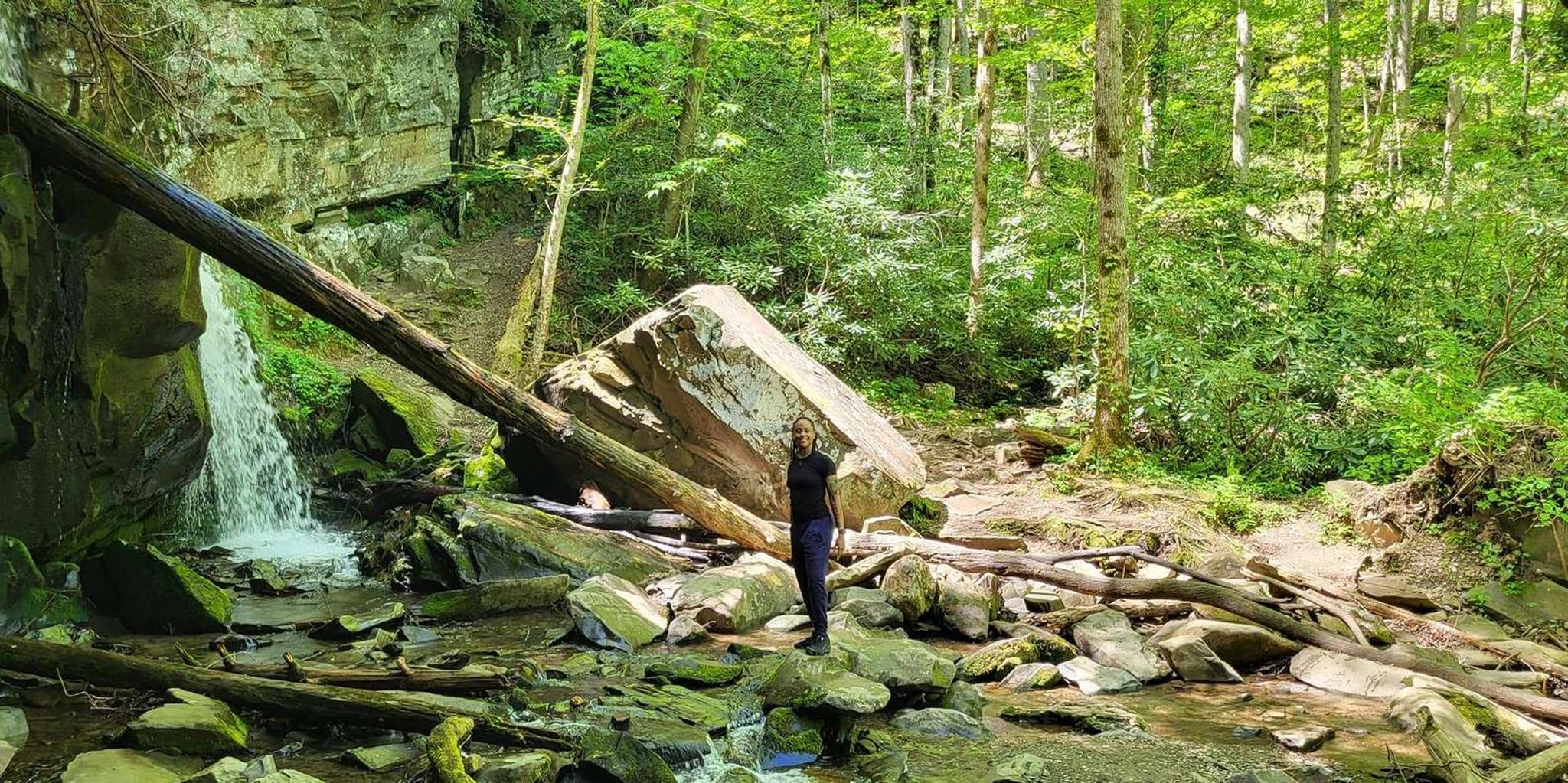 Gatlinburg Smoky Mountains Waterfall Hike 3.5 hr - Image 6