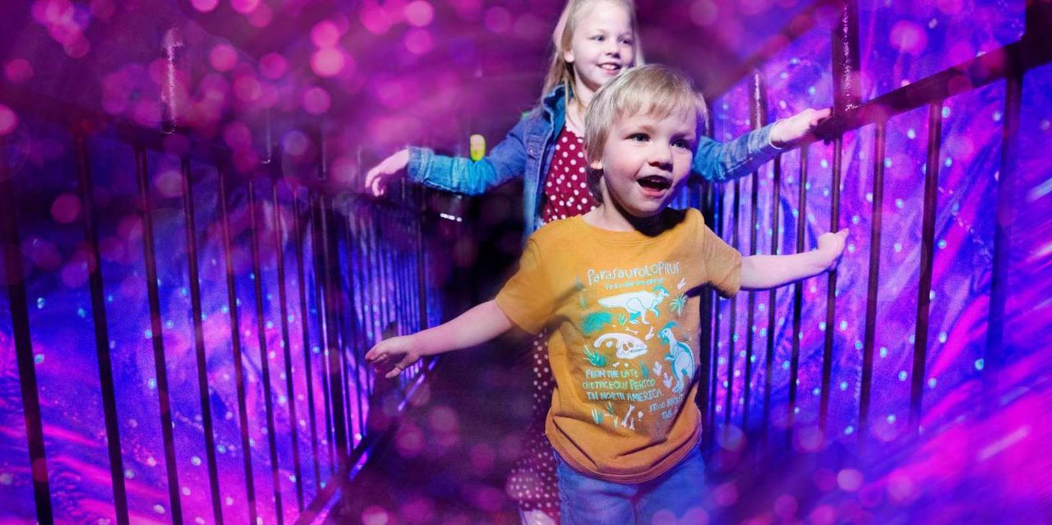 Branson Ripley's Believe It or Not! Admission - Image 4