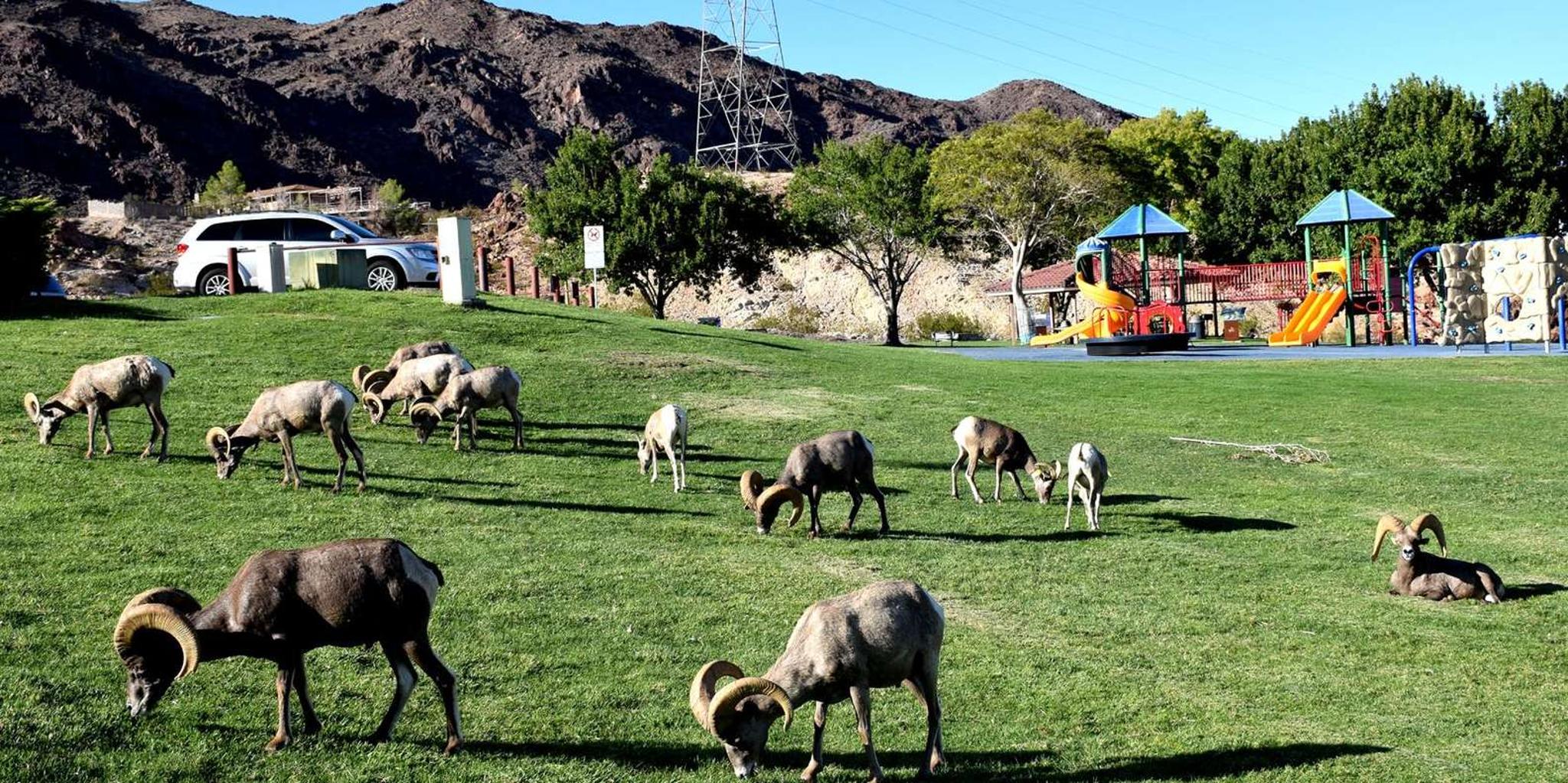 Las Vegas Hoover Dam Small-Group Tour - Image 5