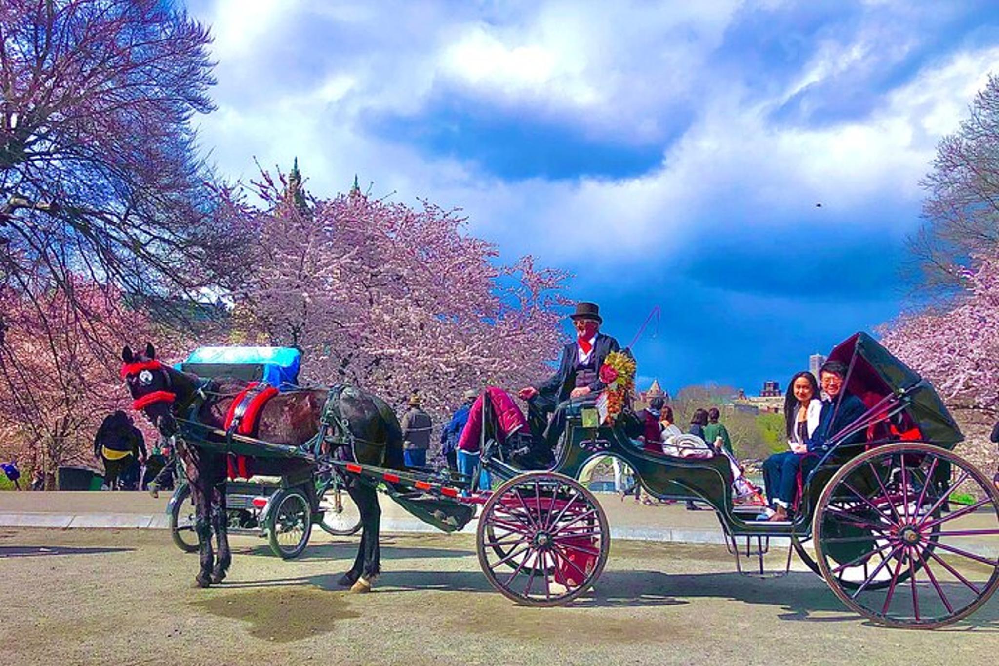 New York Central Park Carriage Tour with Champagne 50 min - Image 2