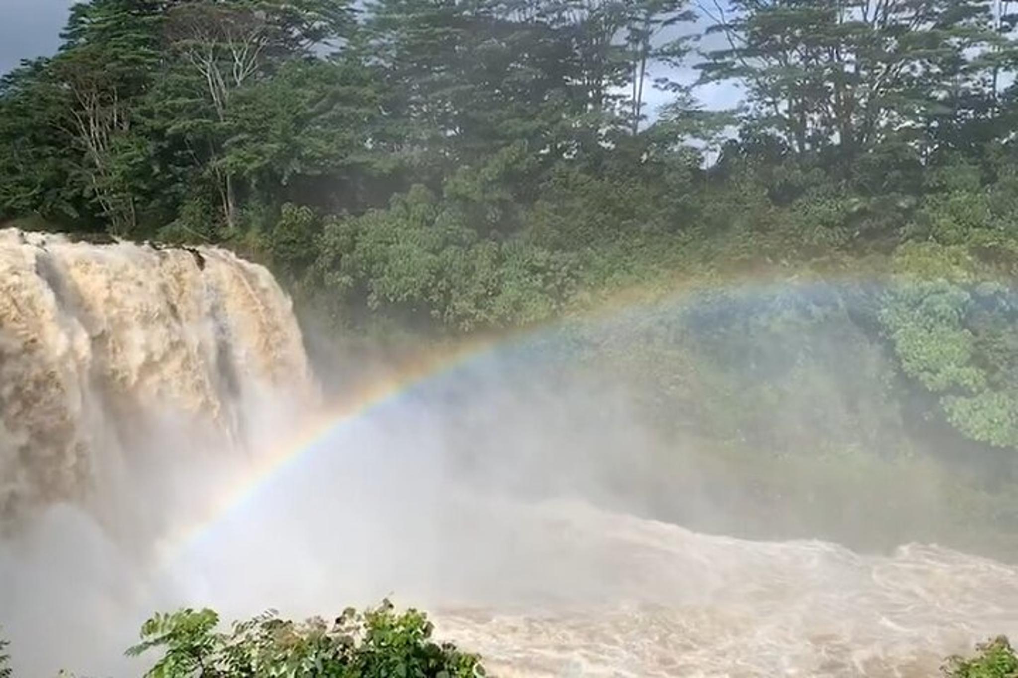 Hilo Volcano National Park and Rainbow Falls Tour - Image 6