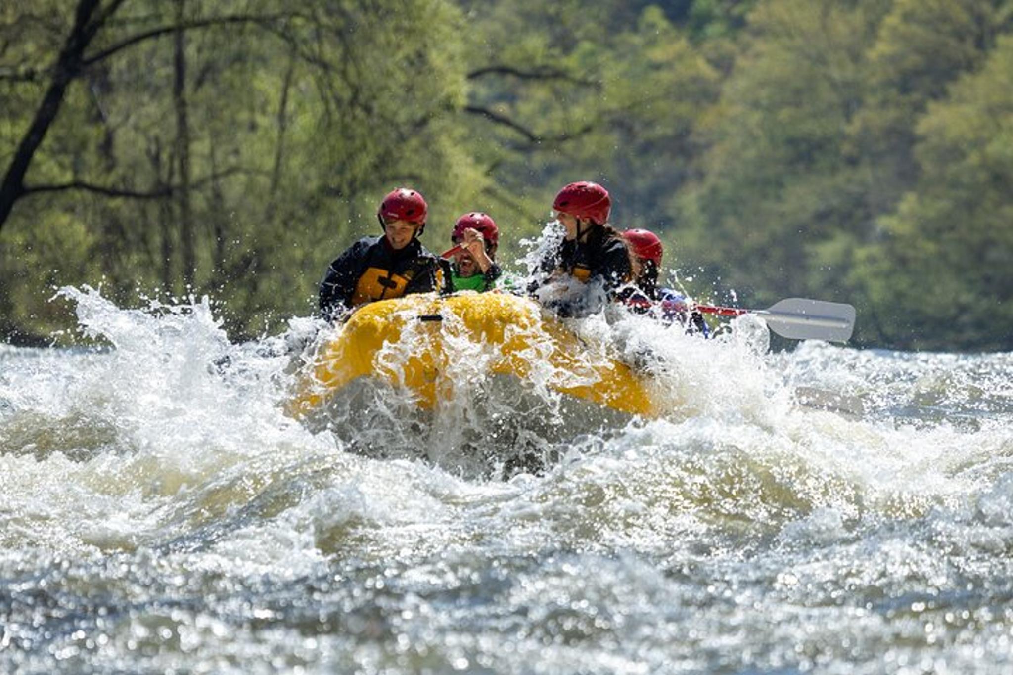 Asheville Whitewater Rafting Adventure - Image 4
