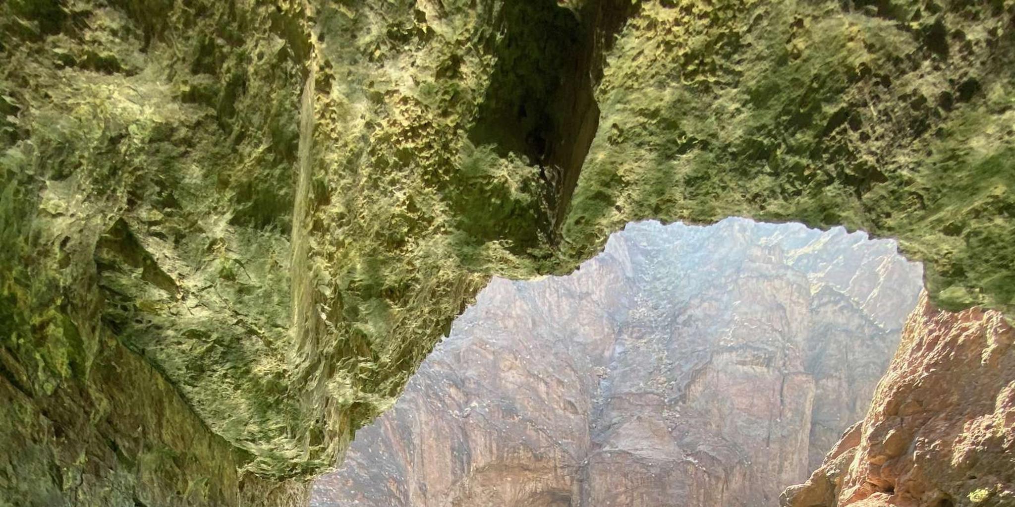 Willow Beach Paddle Board Rental - Image 3