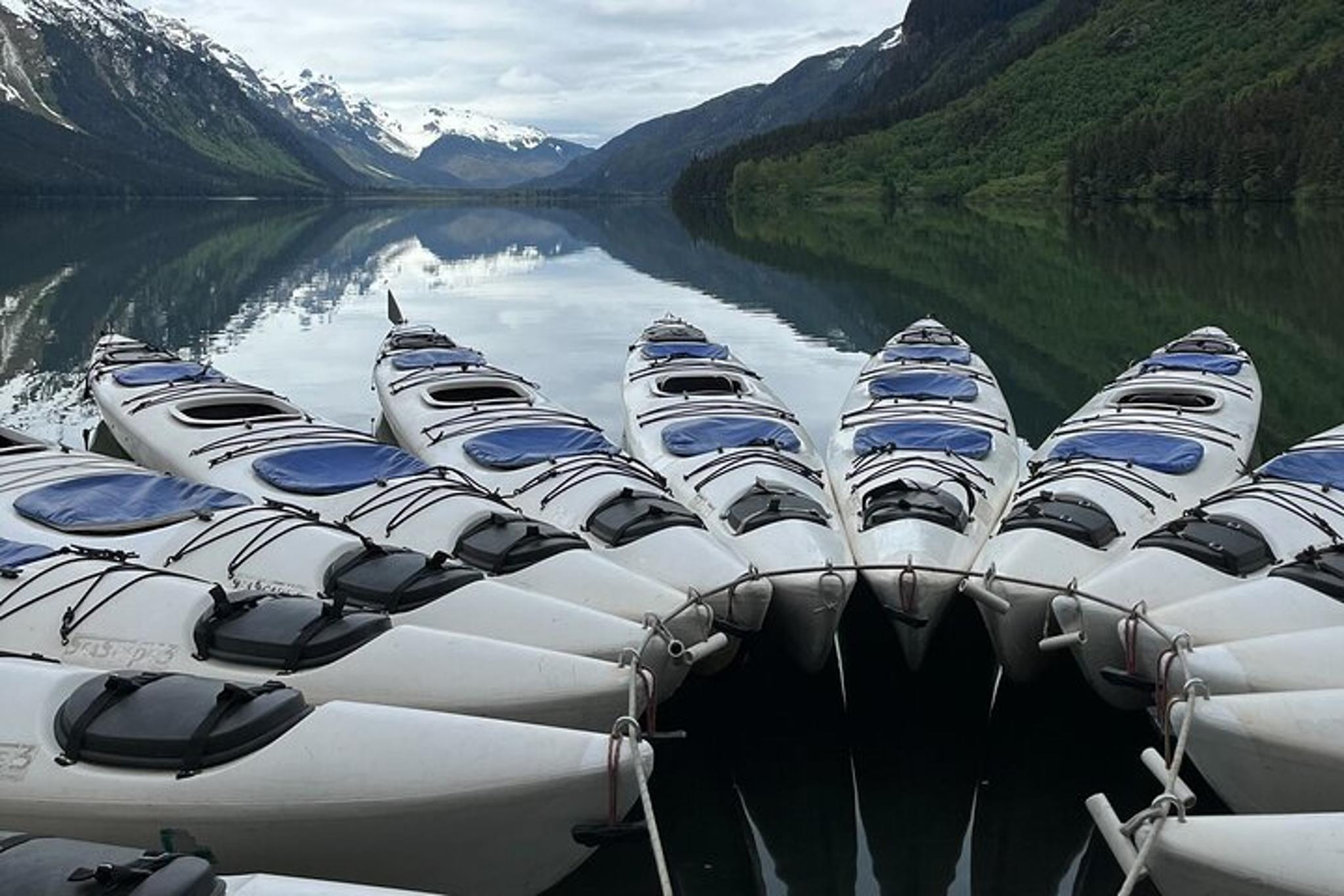 Haines Kayak Adventure