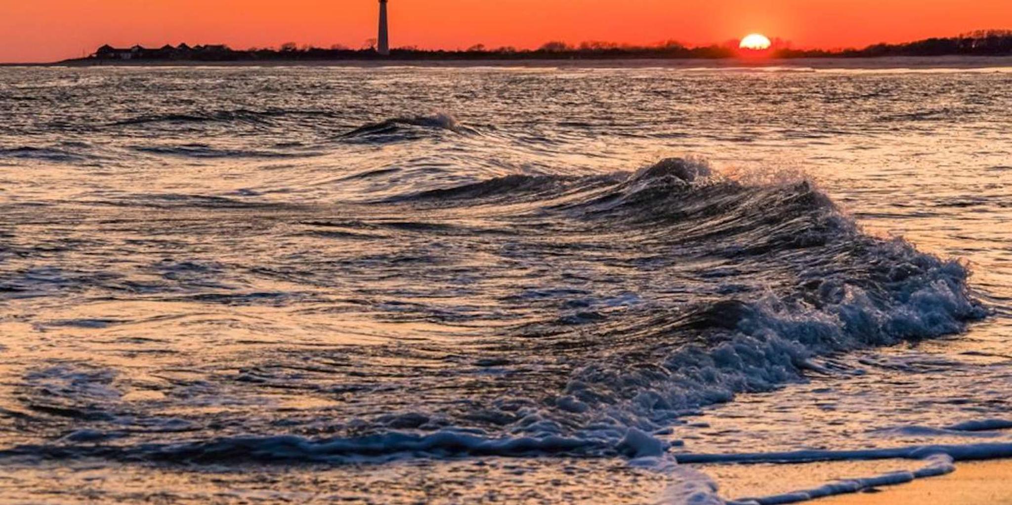 Cape May Dolphin Watching and Sunset Cruise