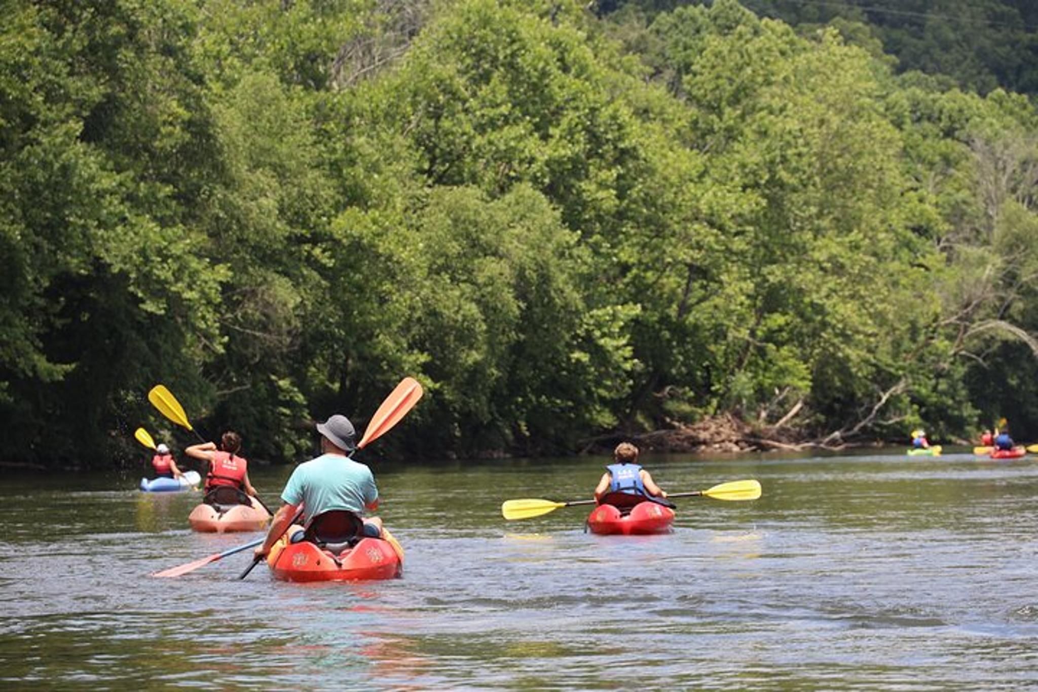 Asheville Self-Guided Kayaking by the Biltmore - Image 6