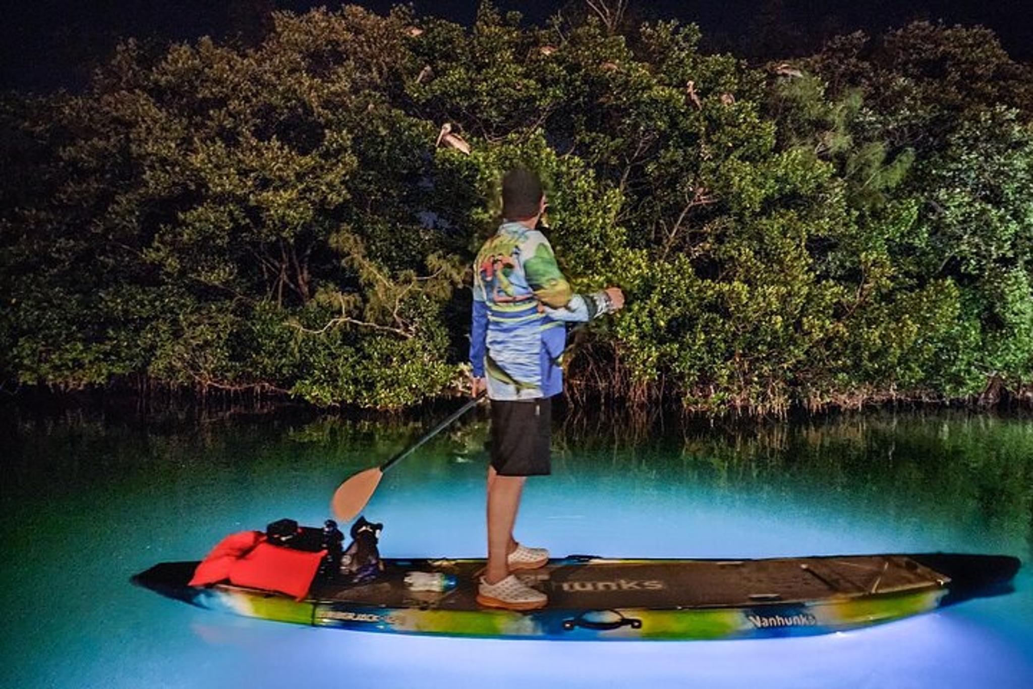 Anna Maria Island Paddleboard Tour
