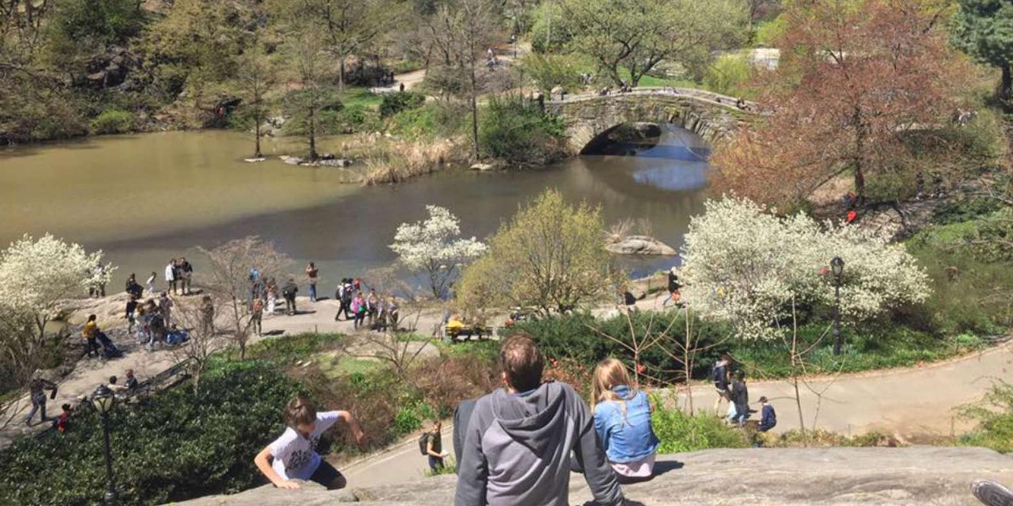 New York Central Park Walking Tour