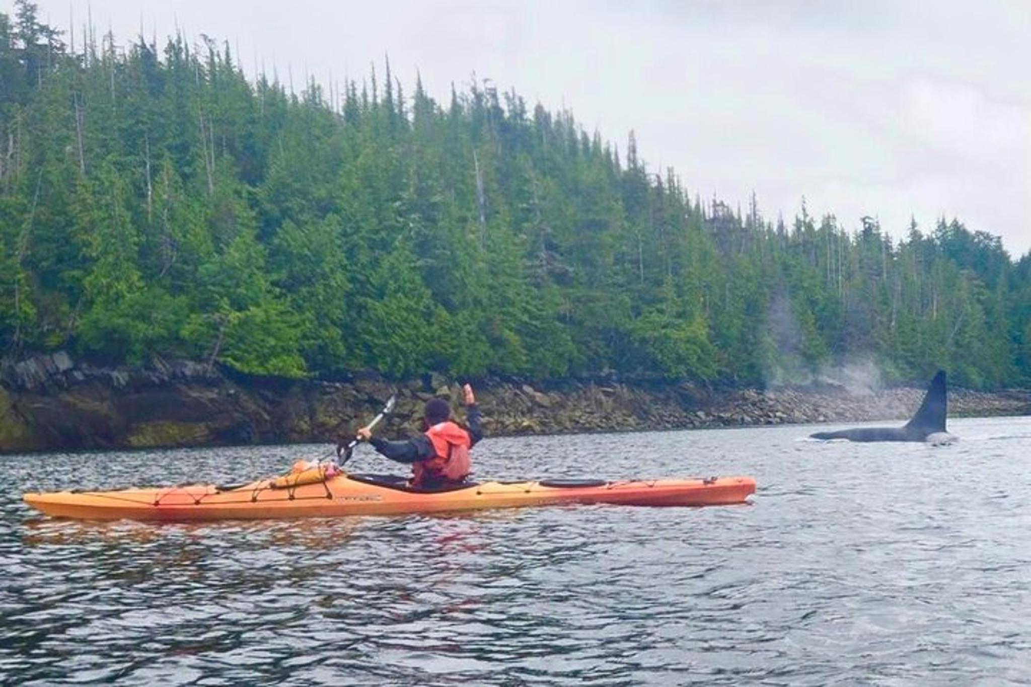 Ketchikan Sea Kayaking Adventure - Image 5