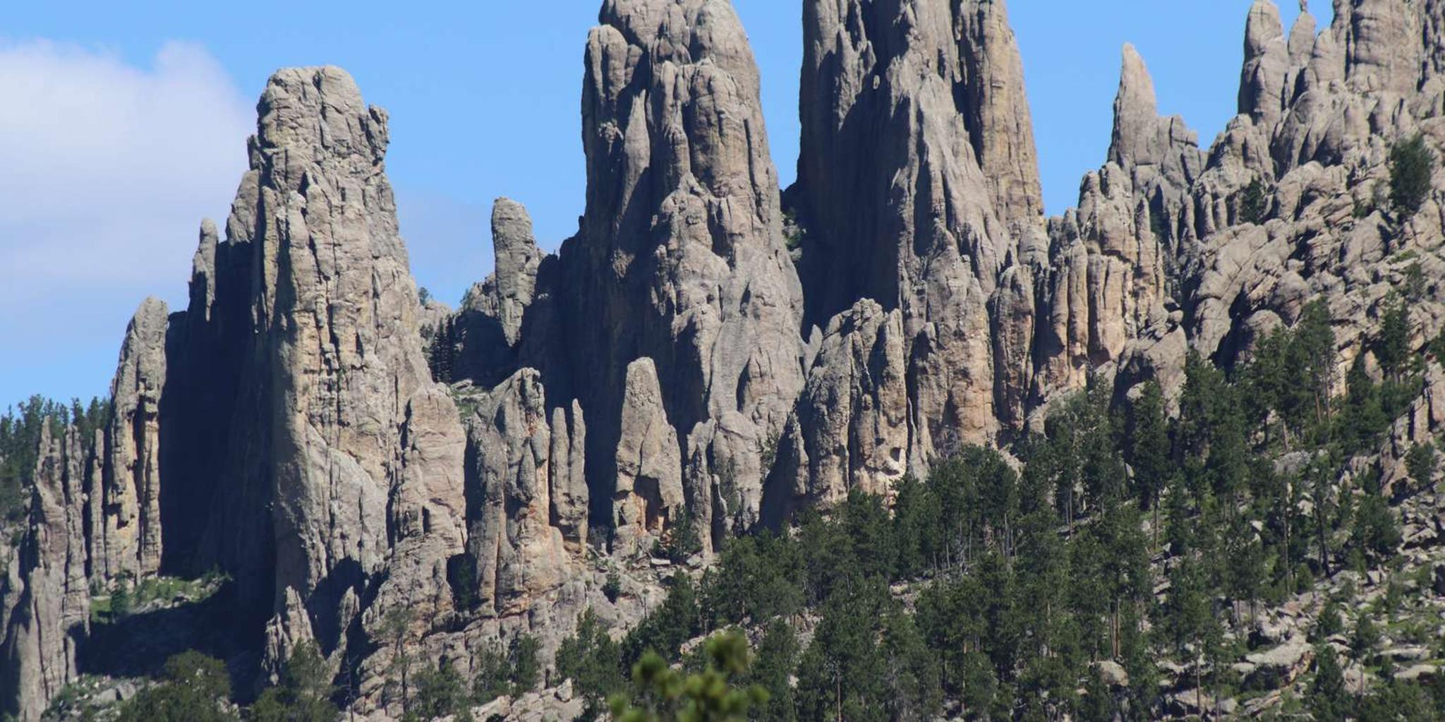 Rapid City Black Hills Parks and Monuments Tour - Image 1