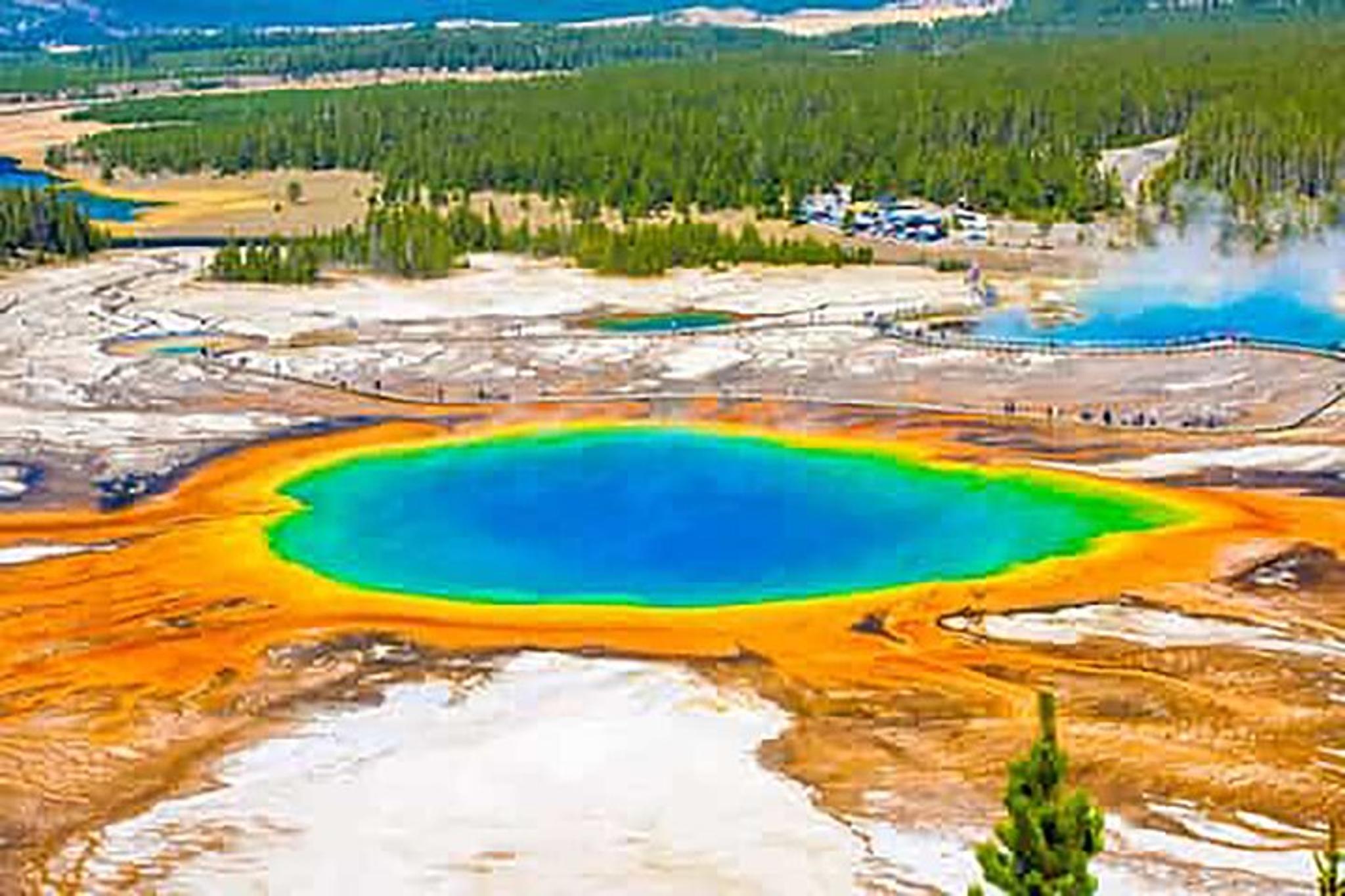 Yellowstone Park Private Full Day Tour - Image 4