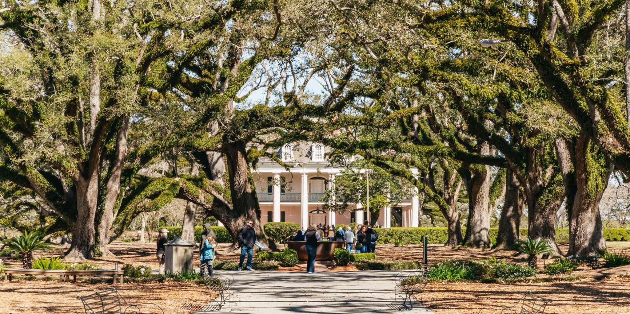New Orleans Oak Alley Plantation and Swamp Tour
