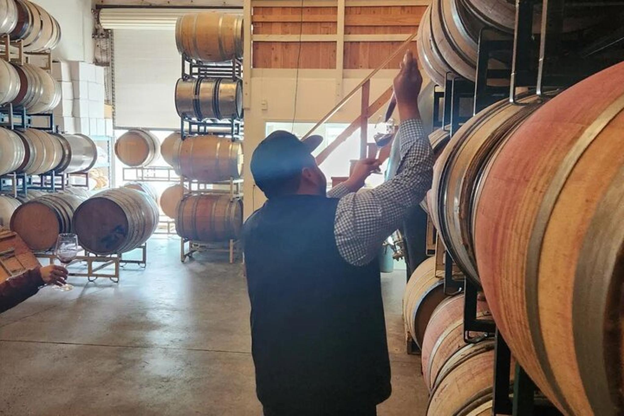 Solvang Wine Tour in Santa Ynez Valley - Image 6