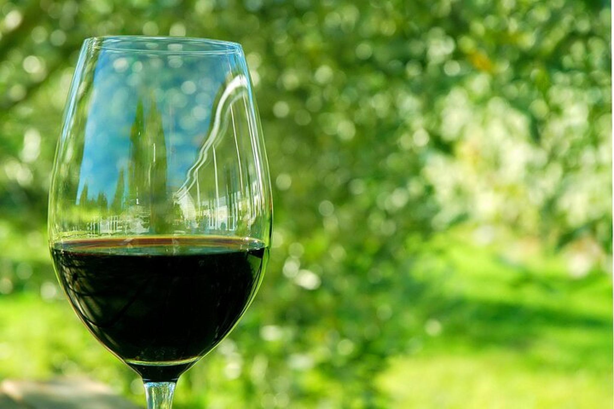 Napa Valley Wine Vineyard Tour - Image 2