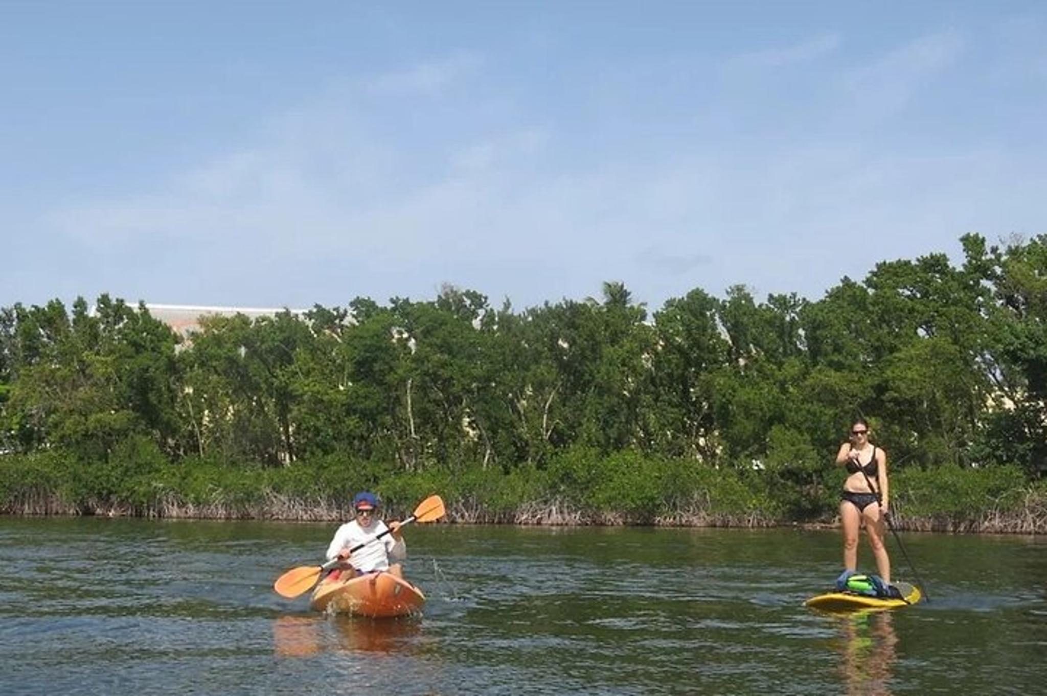 Key Largo Kayak or Paddle Board Rental 1 hr - Image 4