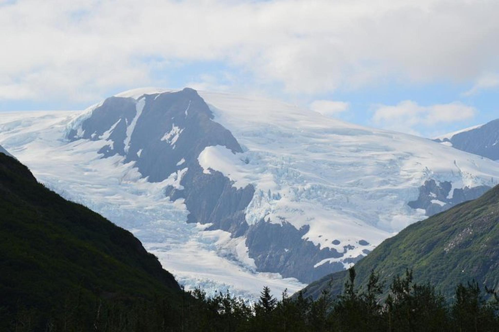 Anchorage Wilderness Photo Tour - Image 6