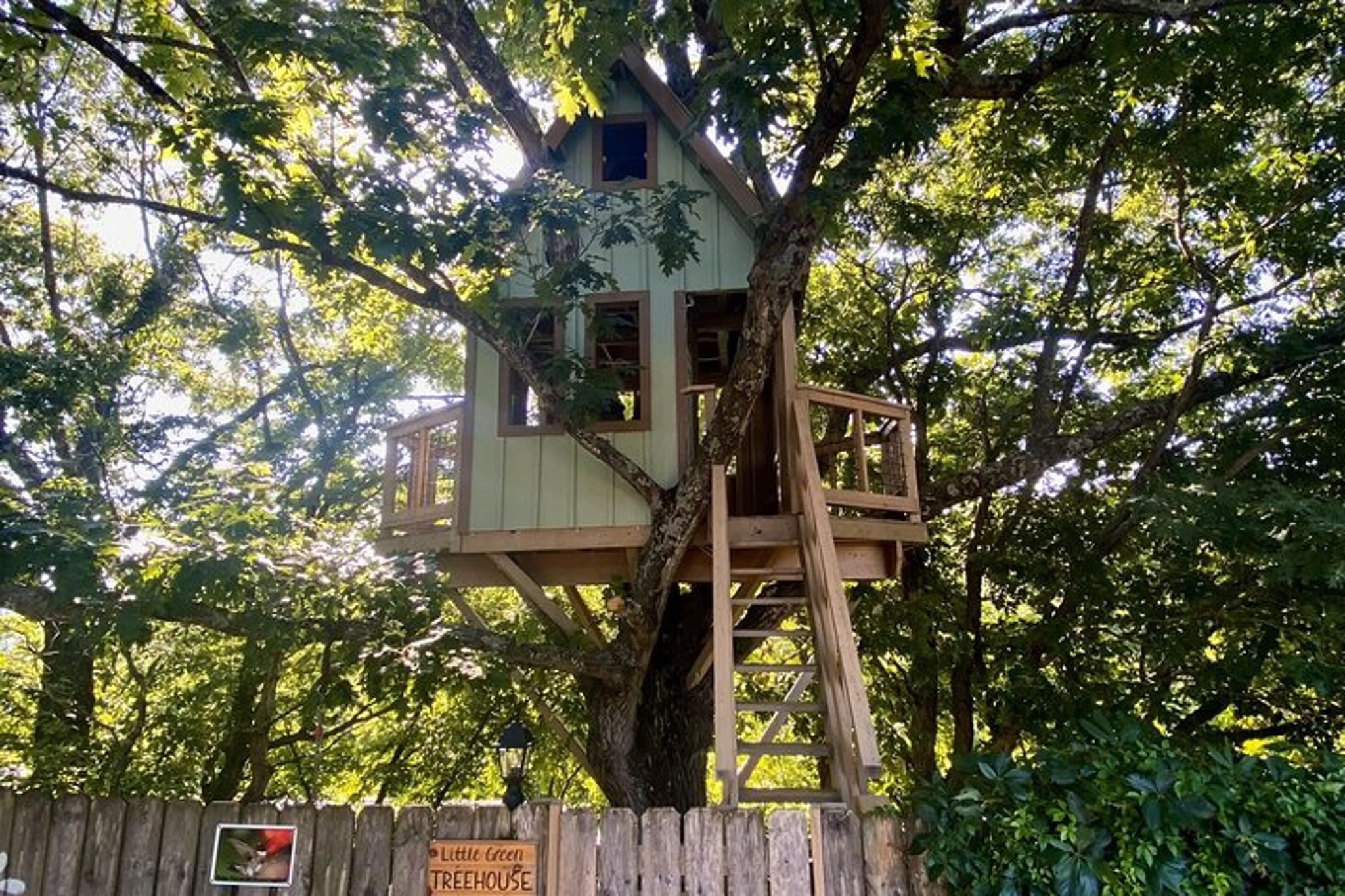 Branson Cart Adventure - Image 3