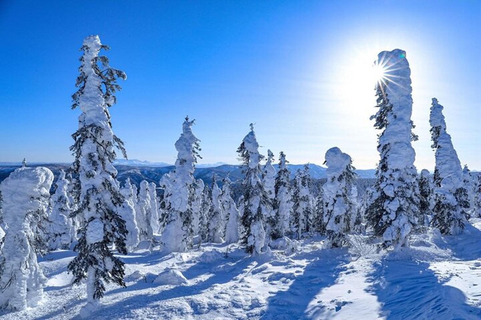 Fairbanks Arctic Circle Day Tour