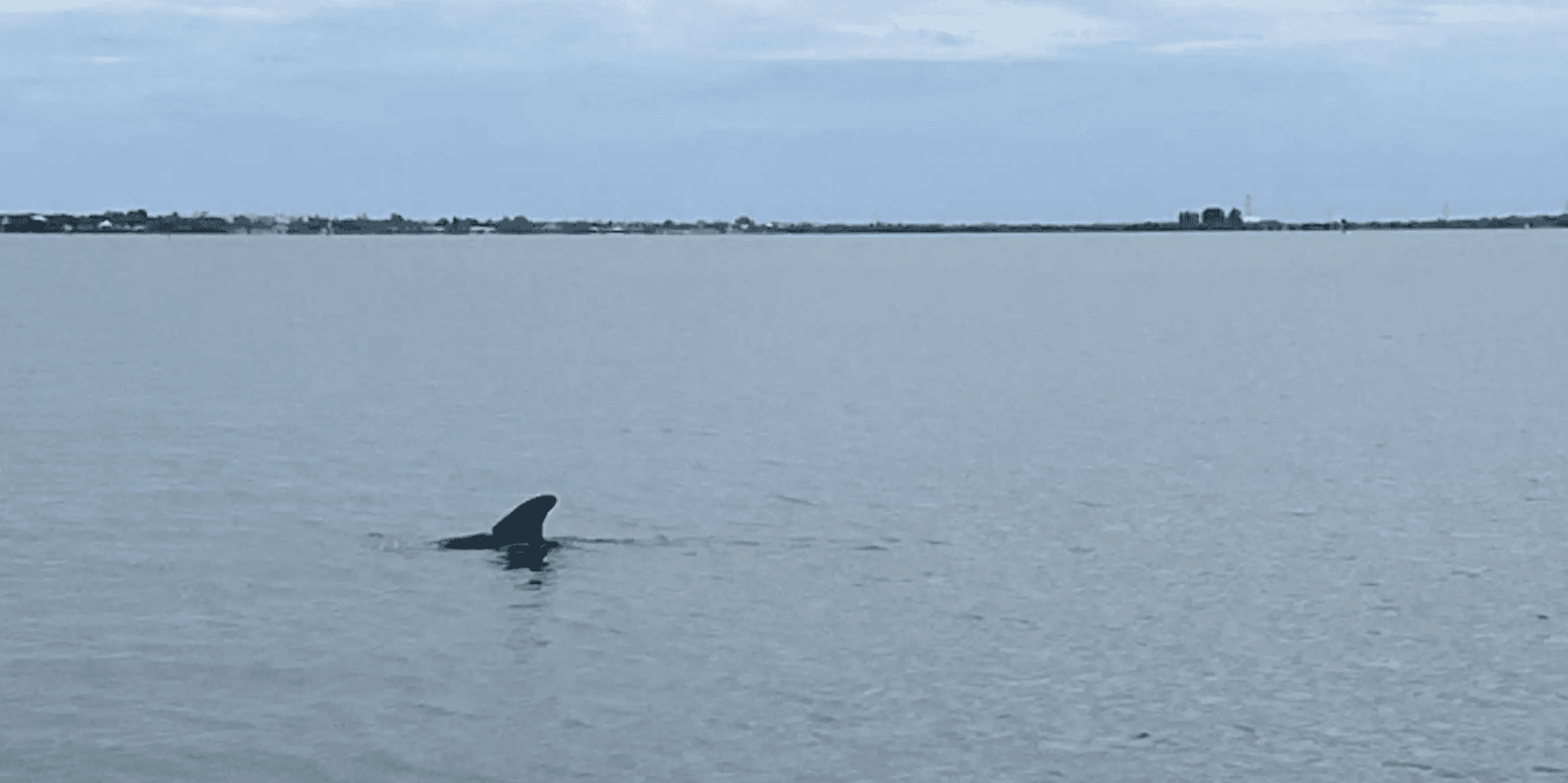 Cocoa Beach Bioluminescent Pontoon Cruise - Image 4