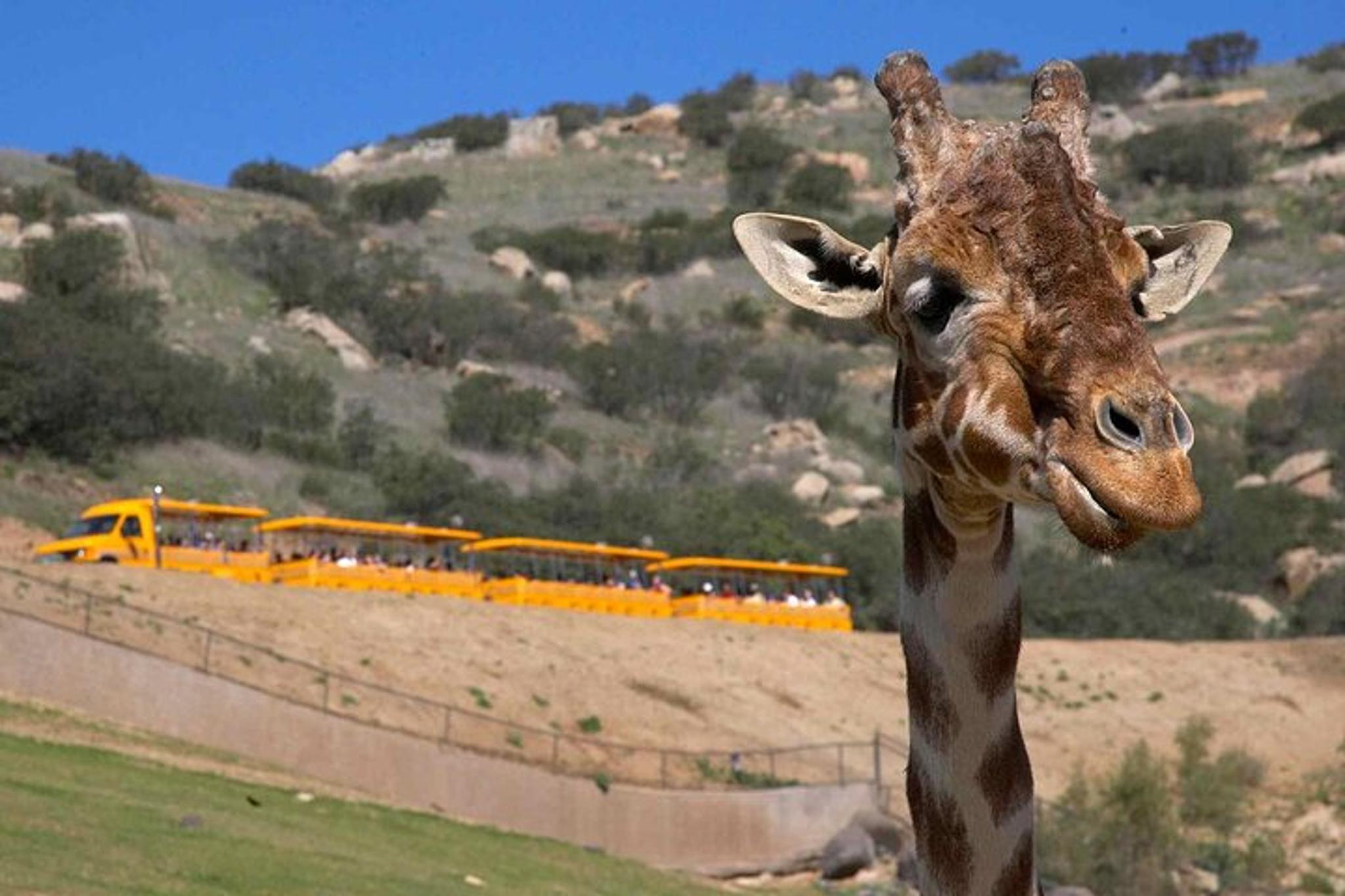 San Diego Explorer Pass - Image 6