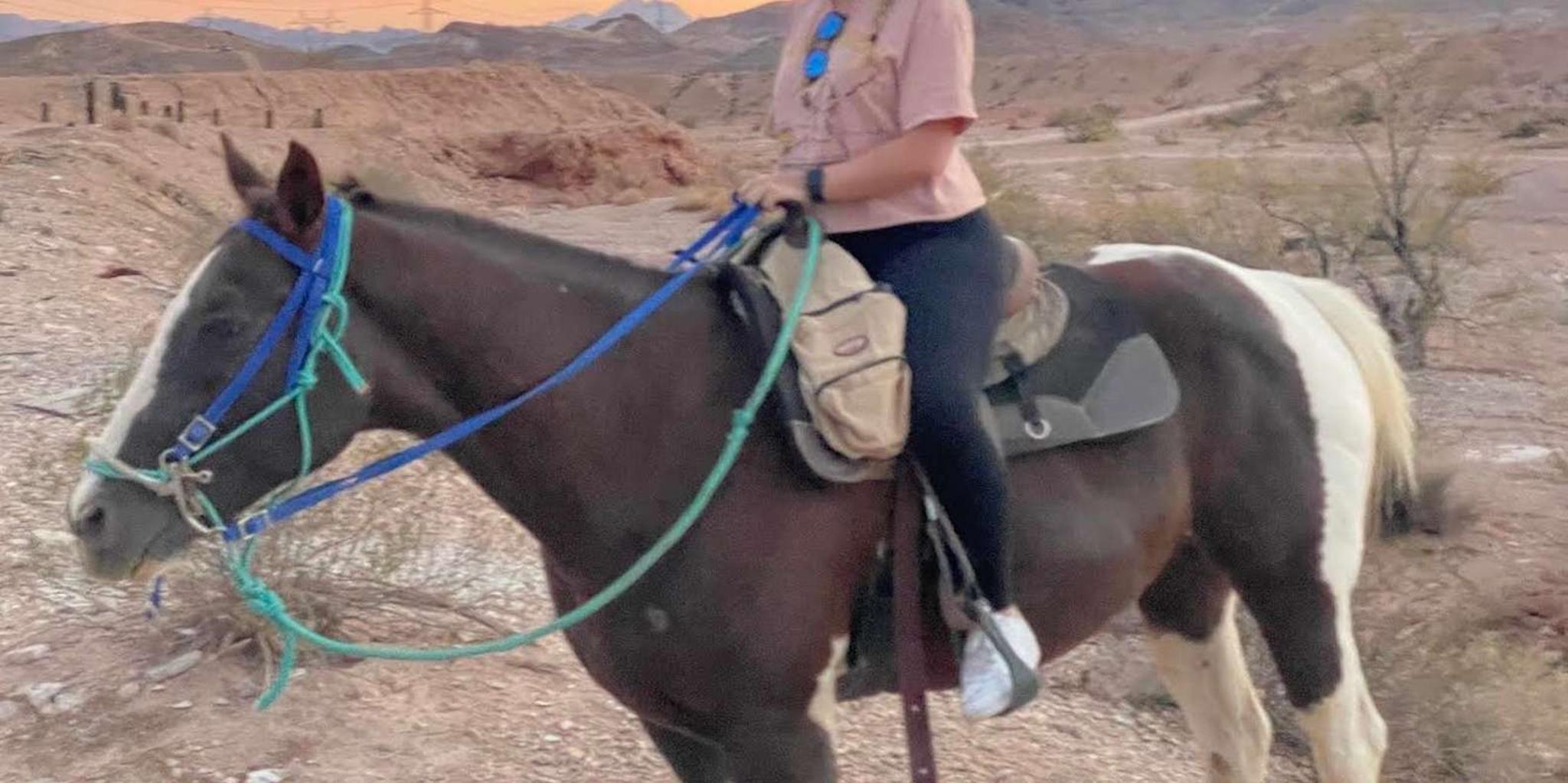 Las Vegas Horseback Riding Tour at Sunset with BBQ Dinner - Image 2