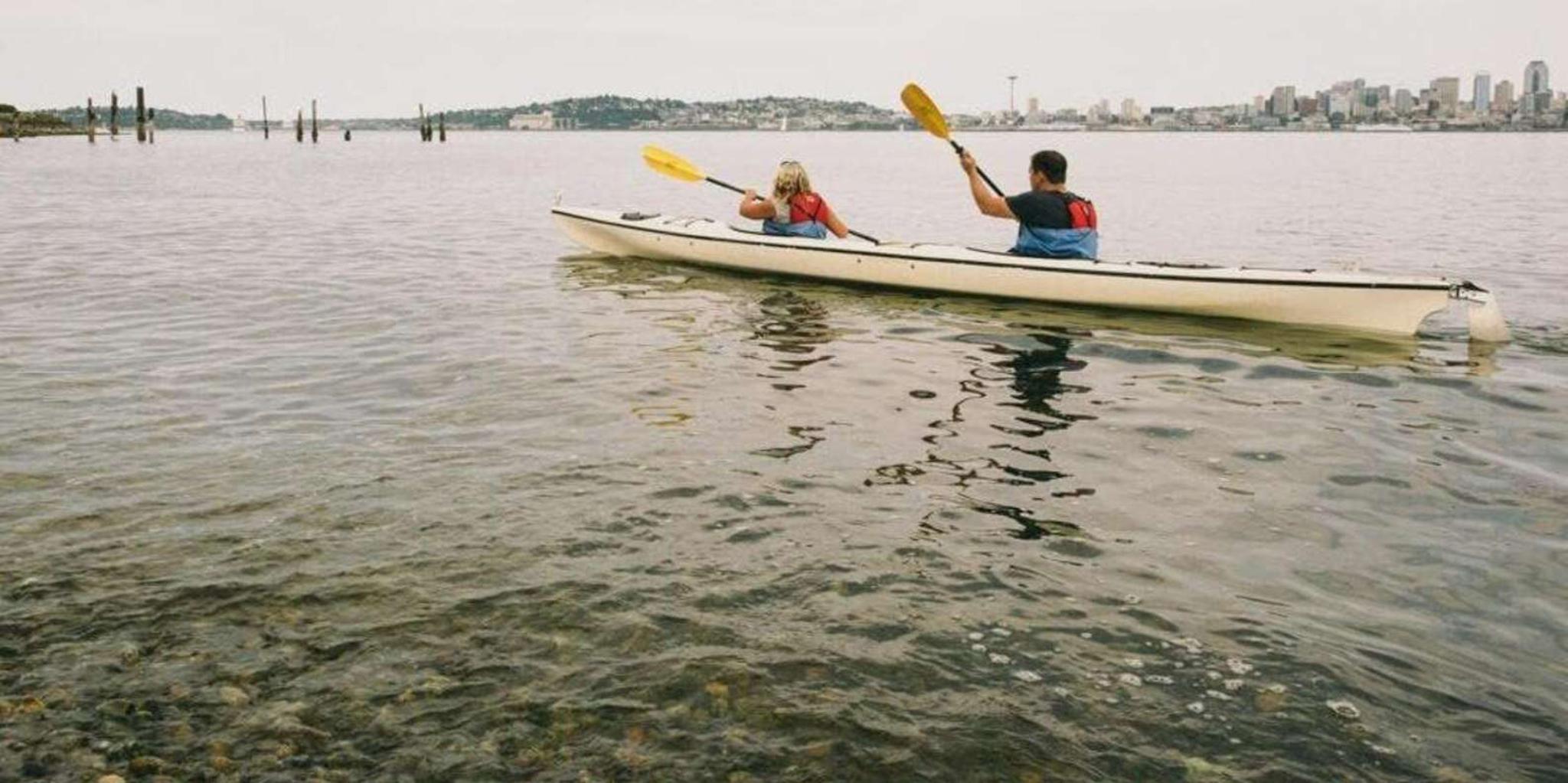 Seattle Alki Lighthouse Sea Kayak Tour 3 hr - Image 4