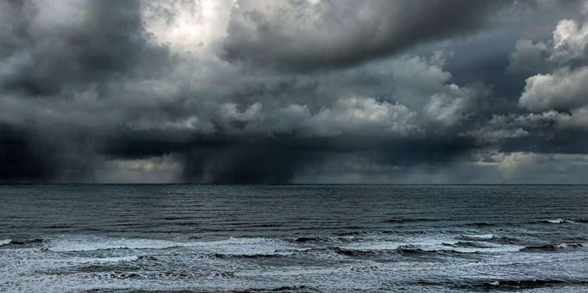 Juneau Whale Watching and Mendenhall Glacier Tour - Image 5