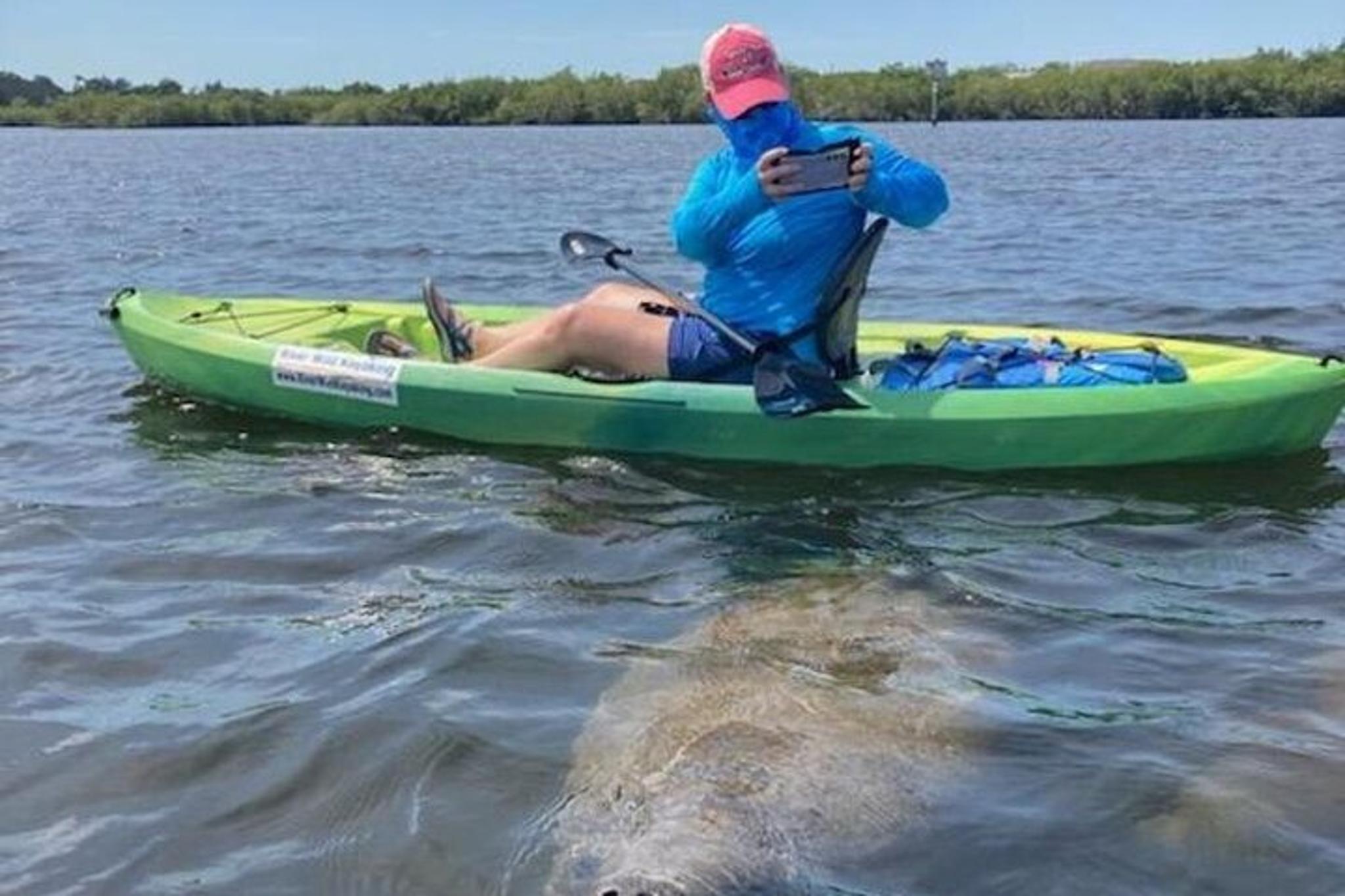 Tarpon Springs Kayaking Tour with Manatees and History - Image 4