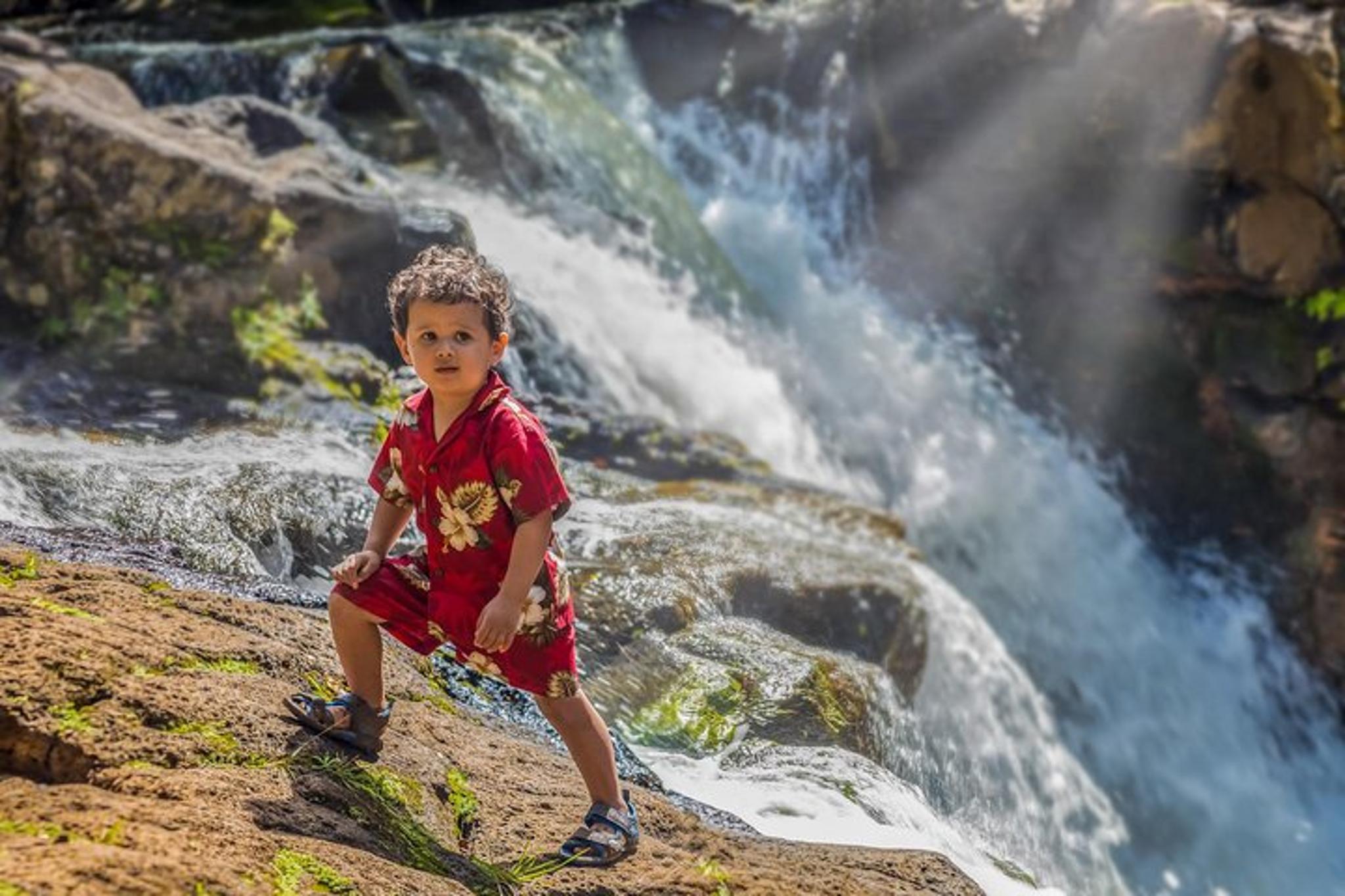 Kauai Family Photography Session - Image 5