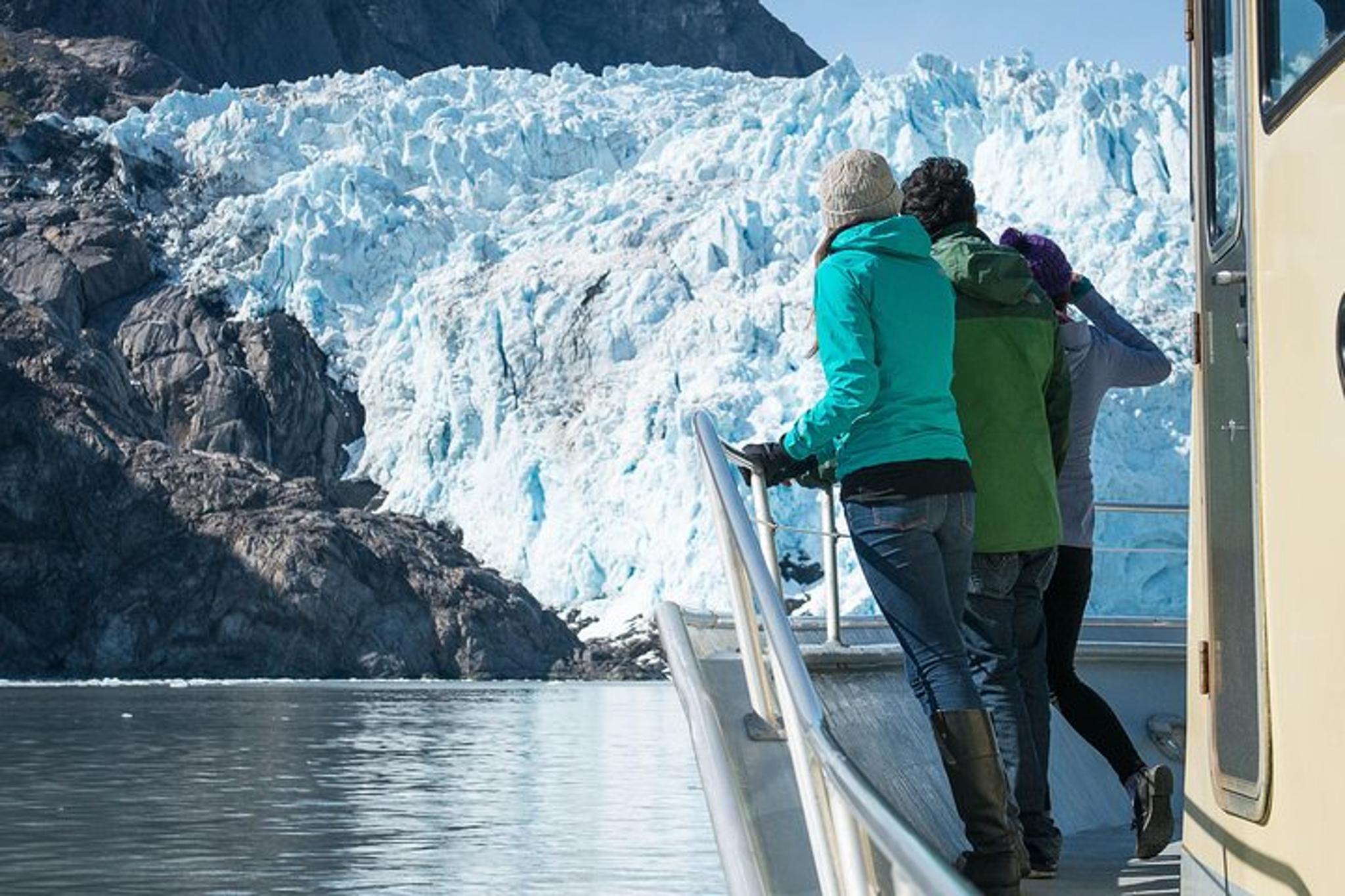 Seward Kenai Fjords National Park Cruise - Image 2