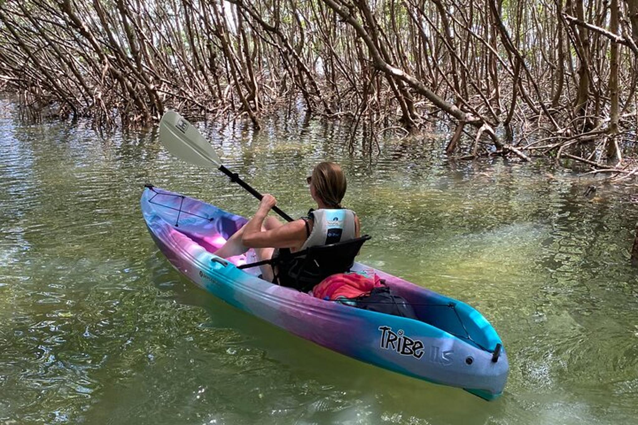Shell Key Preserve Kayak Tour - Image 5