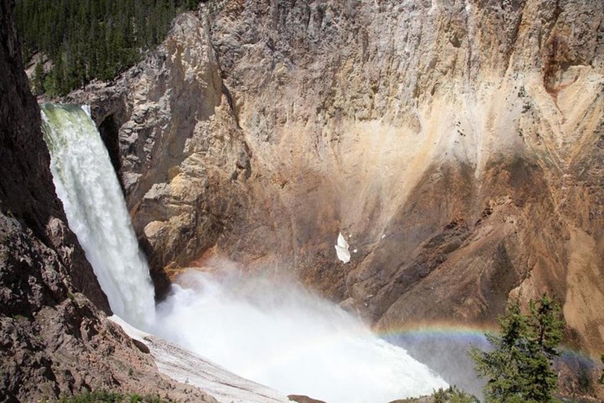 Yellowstone National Park Safari Tour - Image 5