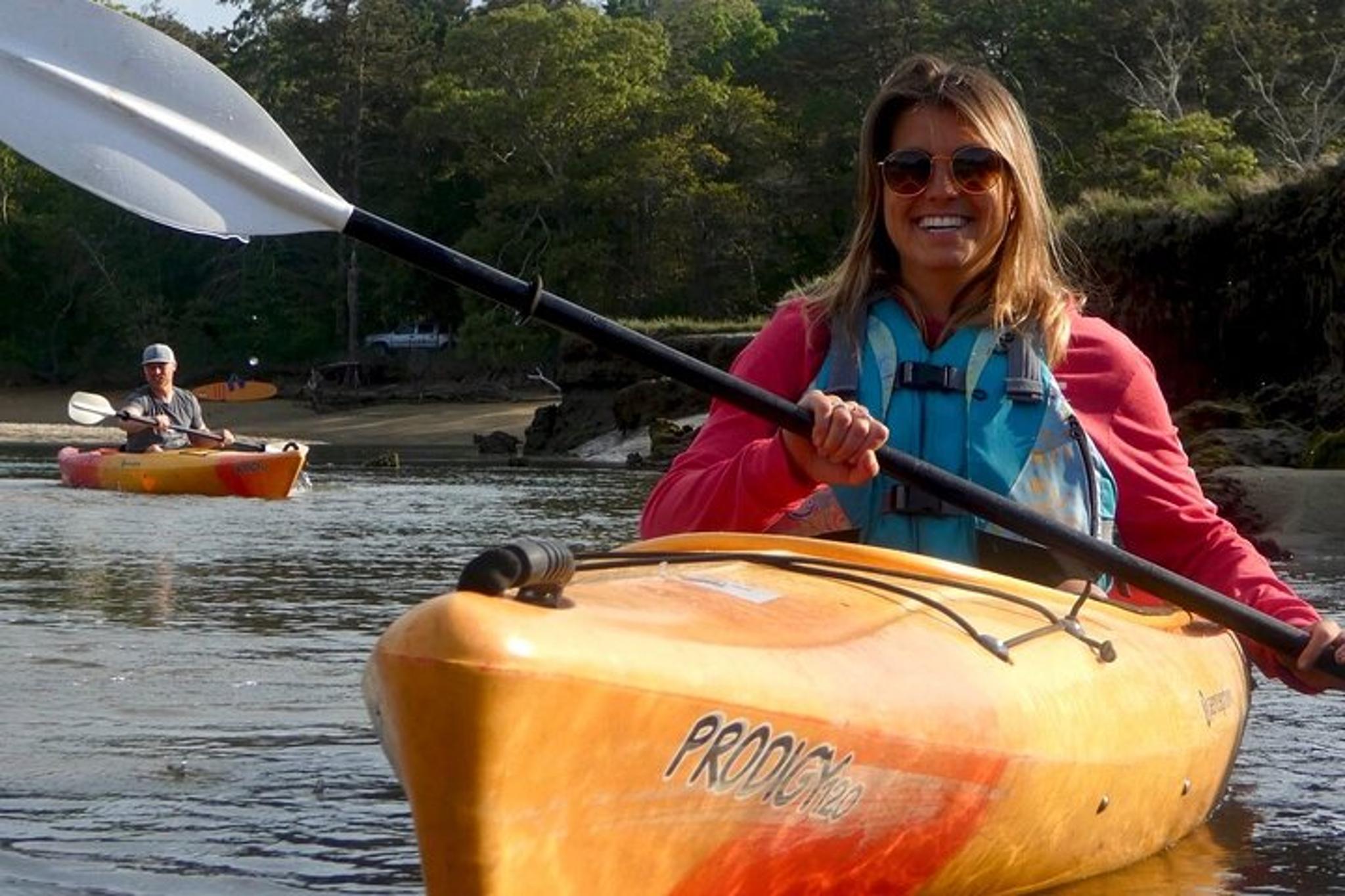 Sandwich Kayak Nature Tour 2 hr - Image 6