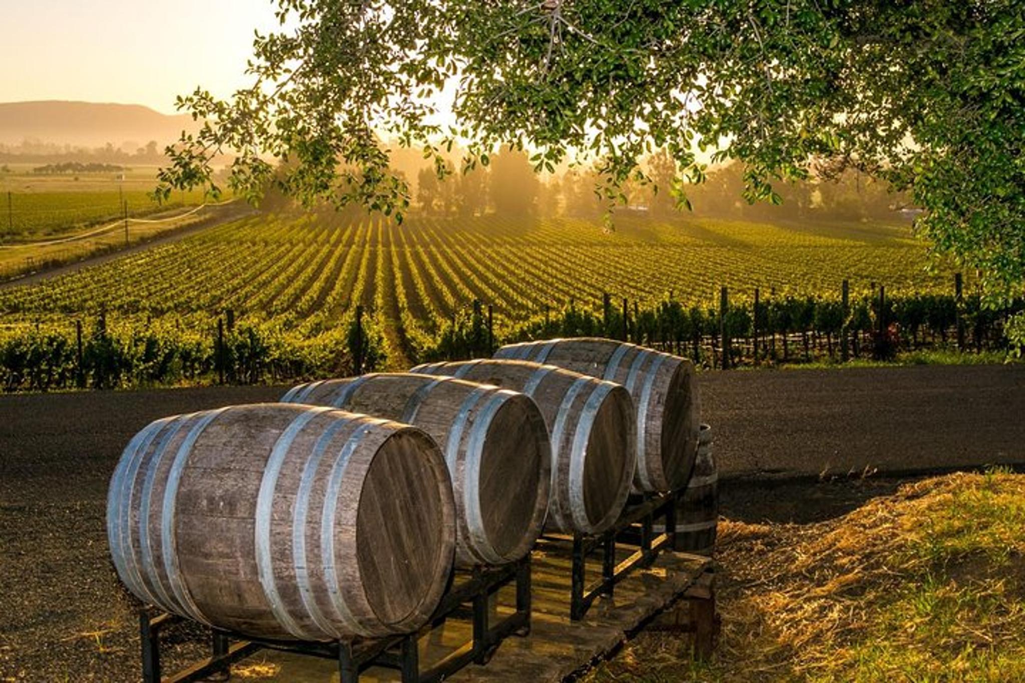 Fredericksburg Wine Tour with Lunch - Image 2