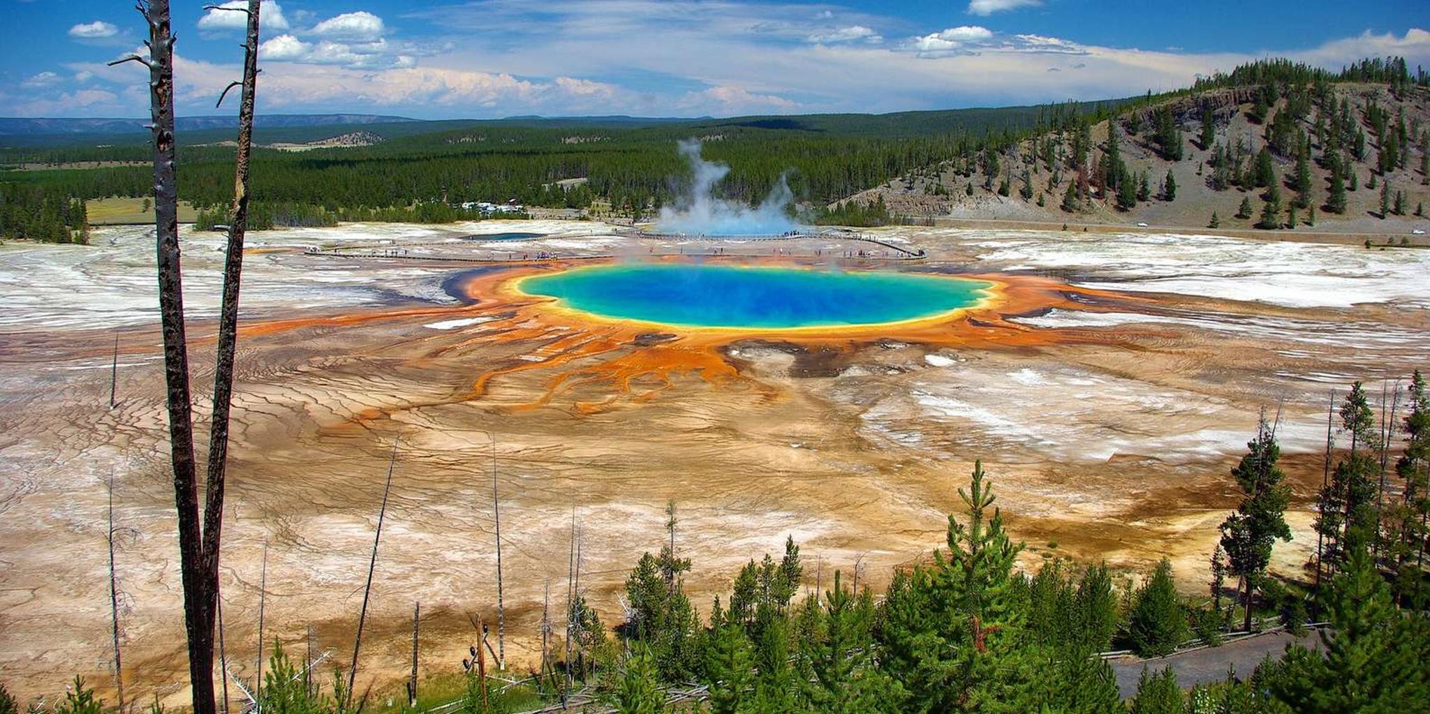 Jackson Yellowstone Lower Loop Day Tour - Image 4