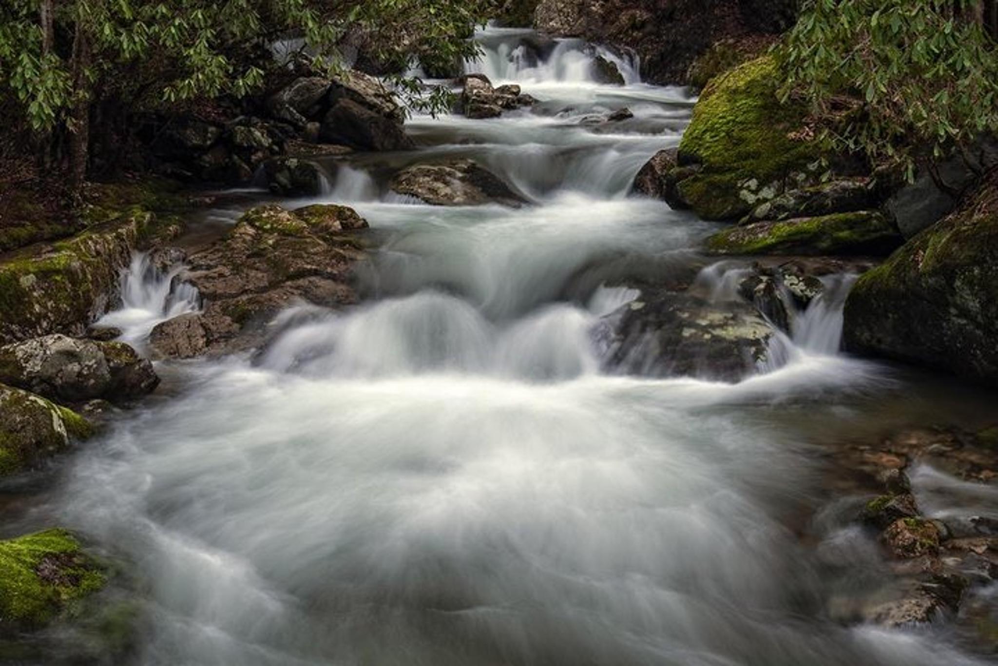 Vistas & Waterfall Photography Tour in Asheville - Image 4