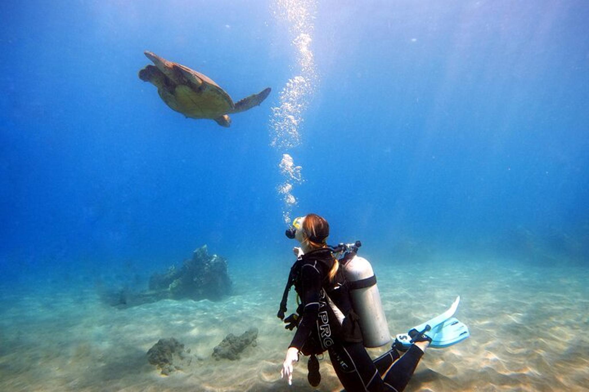 Maui Scuba Diving Experience - Image 2