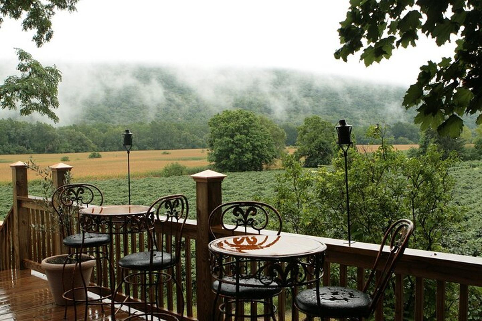 Canandaigua Wine Trail Experience - Image 4