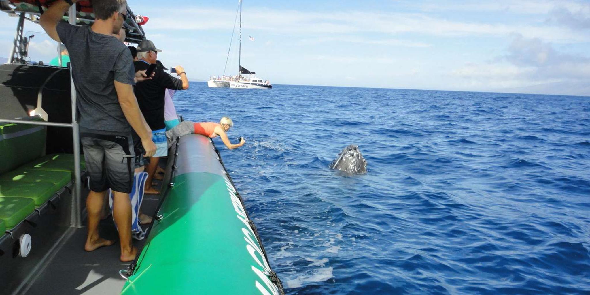 Ka'anapali Whale Watching Boat Tour - Image 3