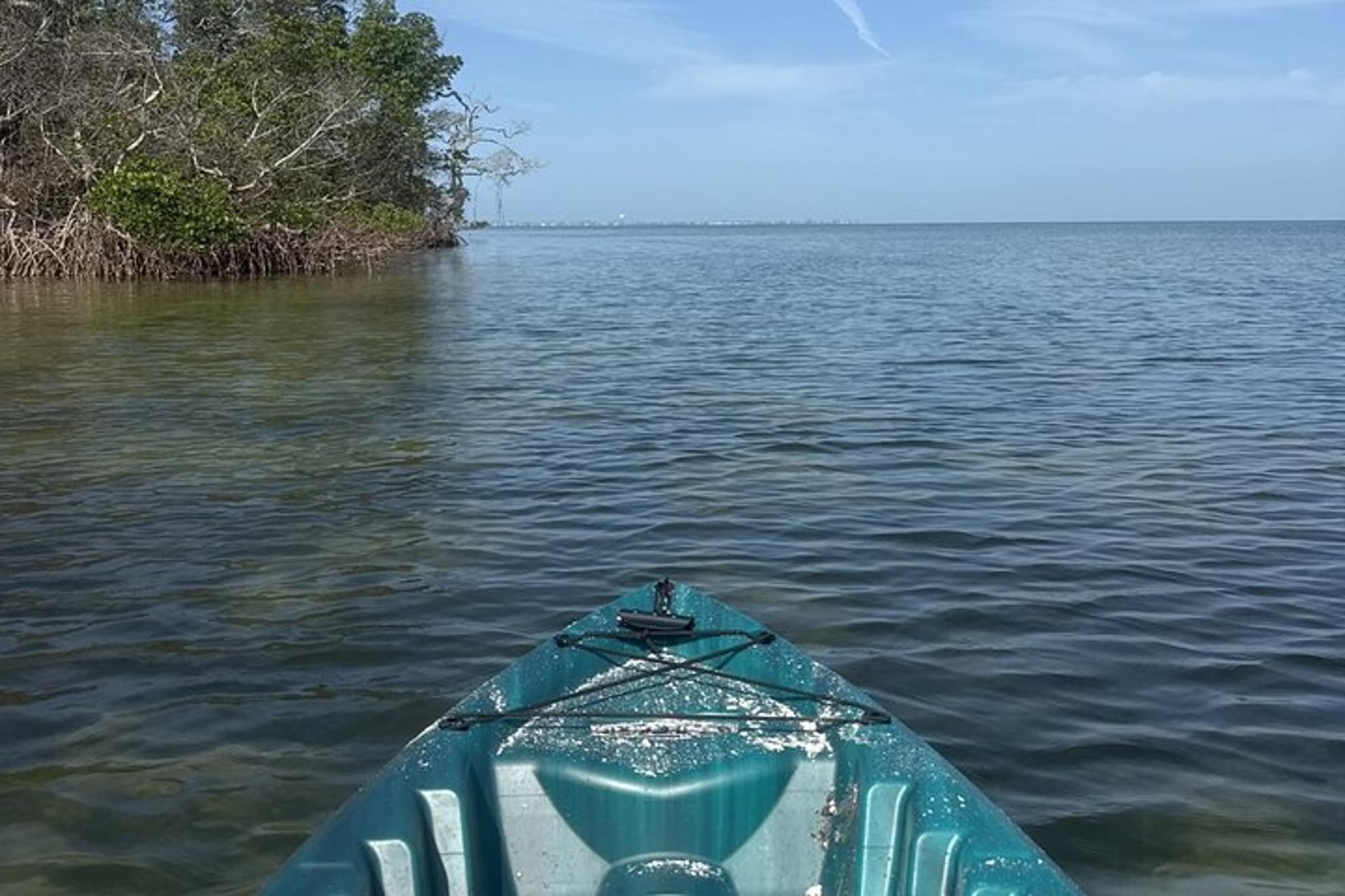 Ruskin Kayak Tour at EG Simmons Park 3 hr - Image 5