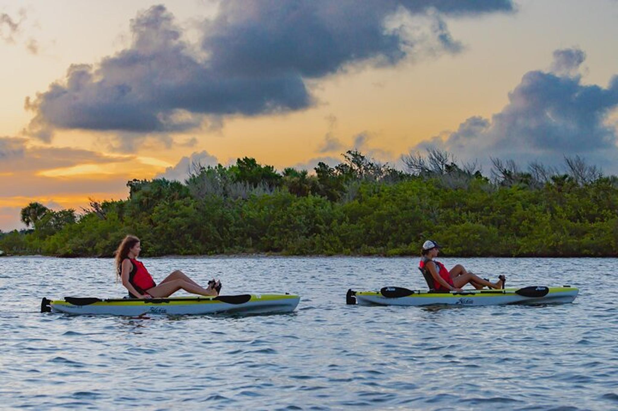 New Smyrna Beach Pedal Kayak Tour - Image 2