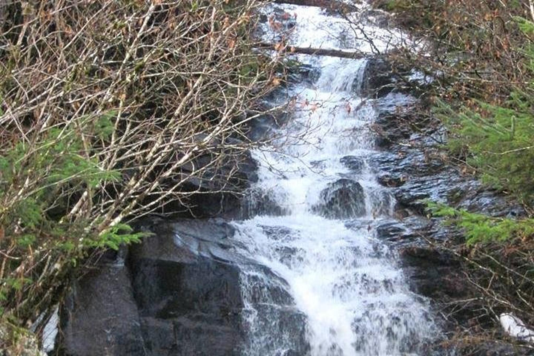 Ketchikan All In One Tour - Image 5